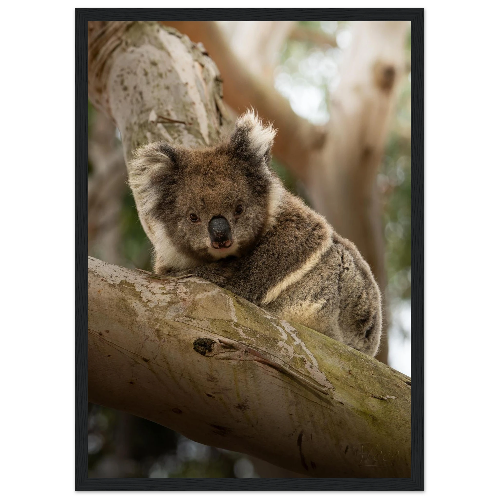 001d7a09-d5ec-44c5-9124-eacc90e16180