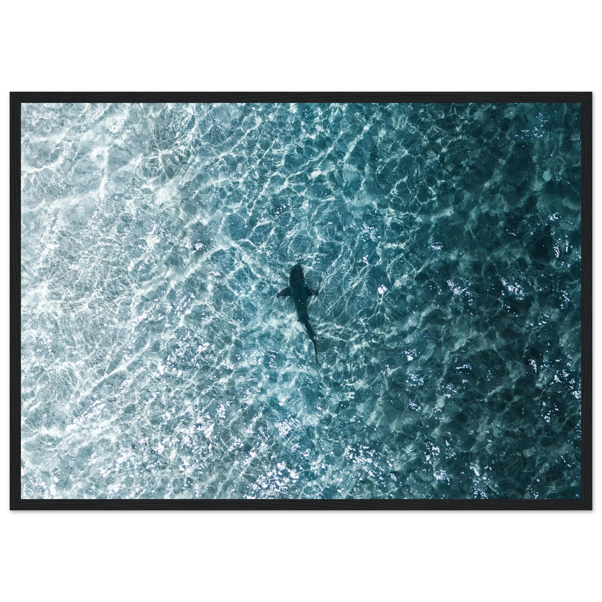 00b349e3-59ca-43ed-a9d5-77b21a63fb47