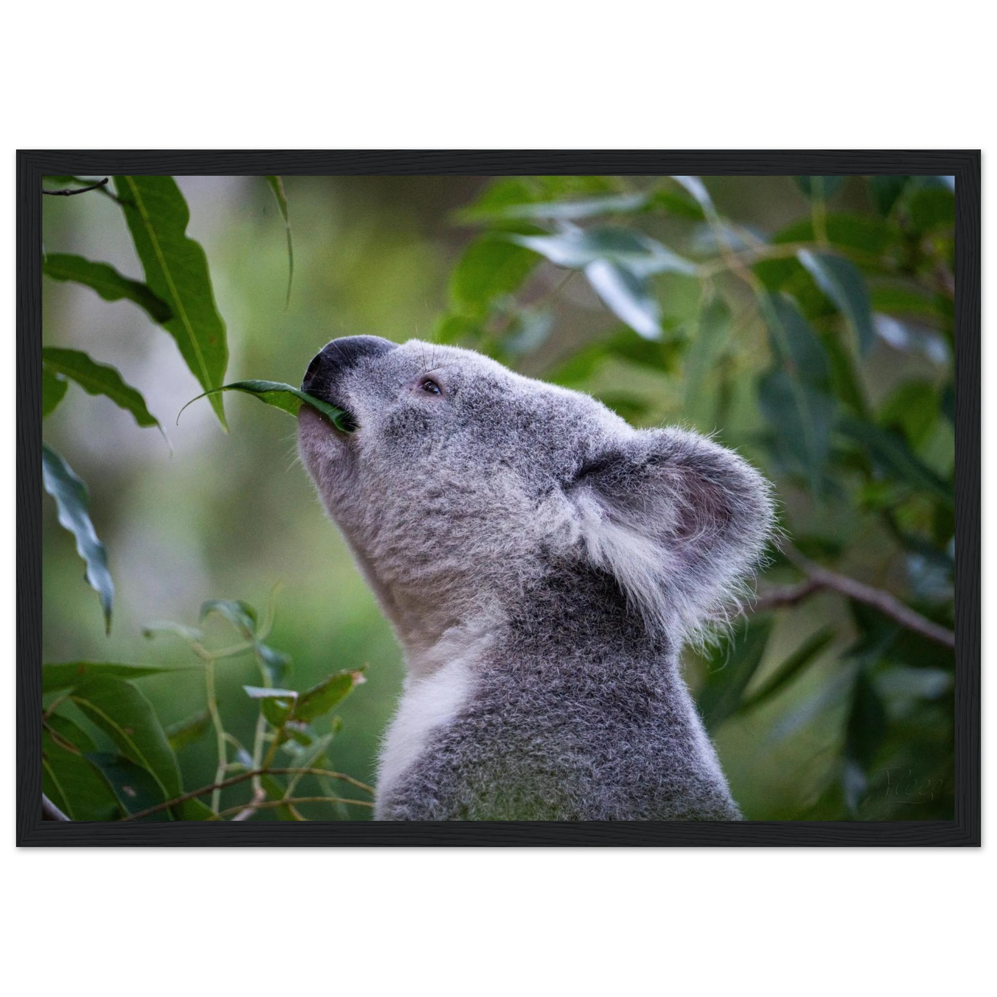 00db28e1-90b0-40cb-8204-25eb5f3188fb