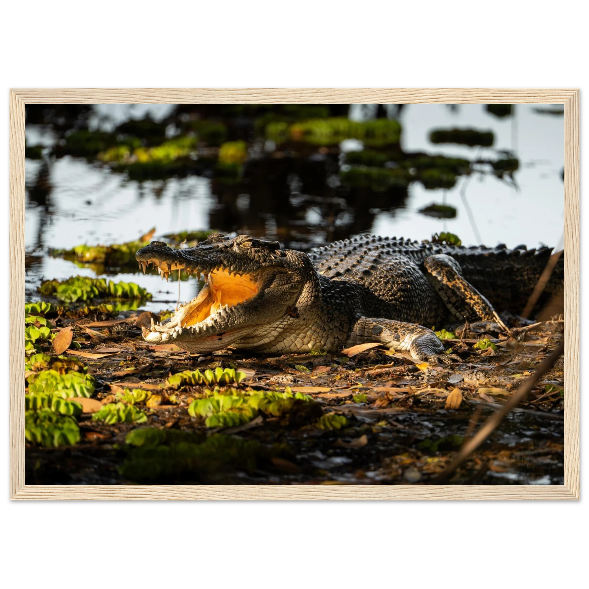 014c36ae-d30f-4de6-86e9-36ae8332d245