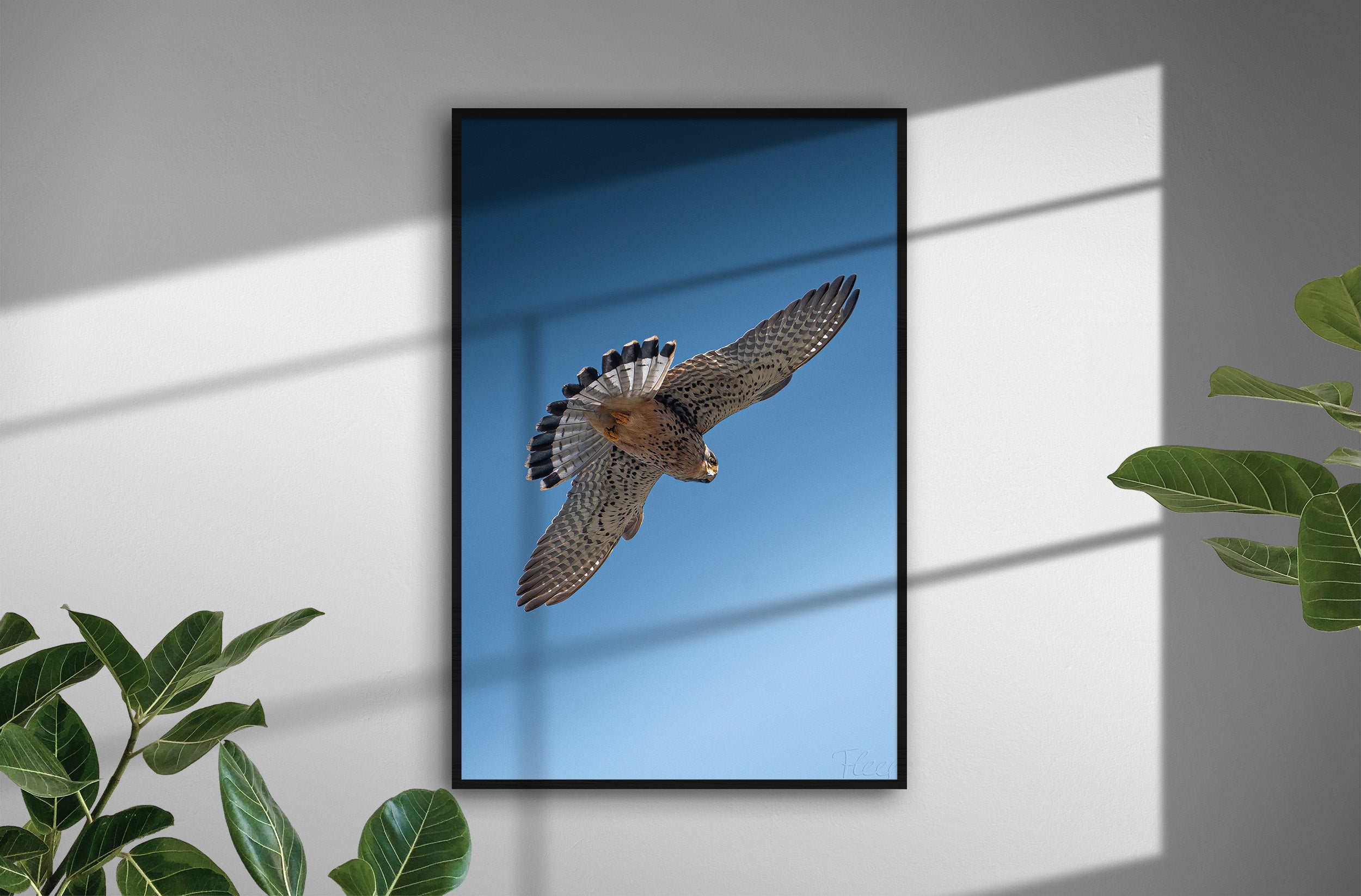 0164c654-034e-4463-ada2-3a91275f258d