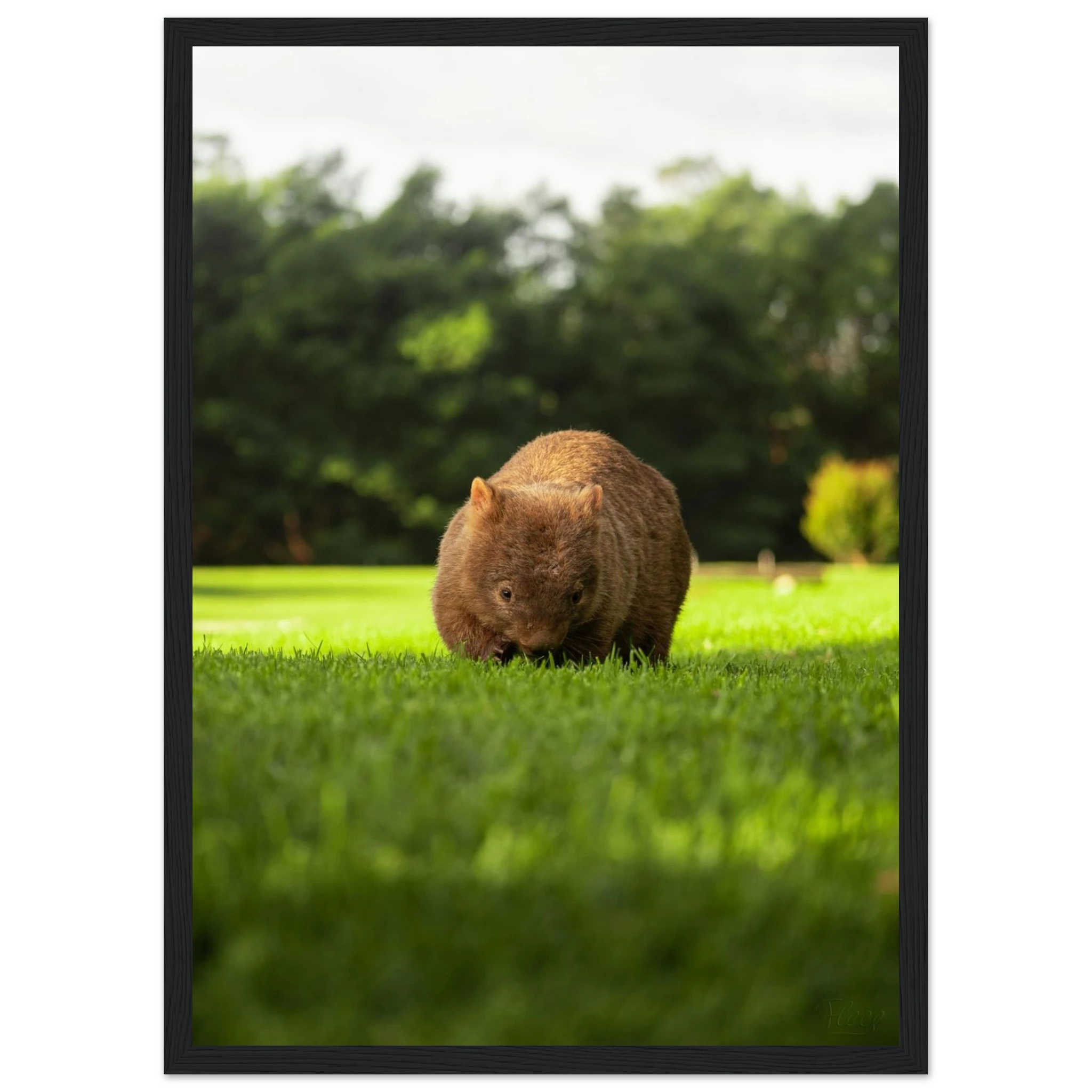 01ffee18-28d4-4bf6-8f8d-0c78a5ec7255