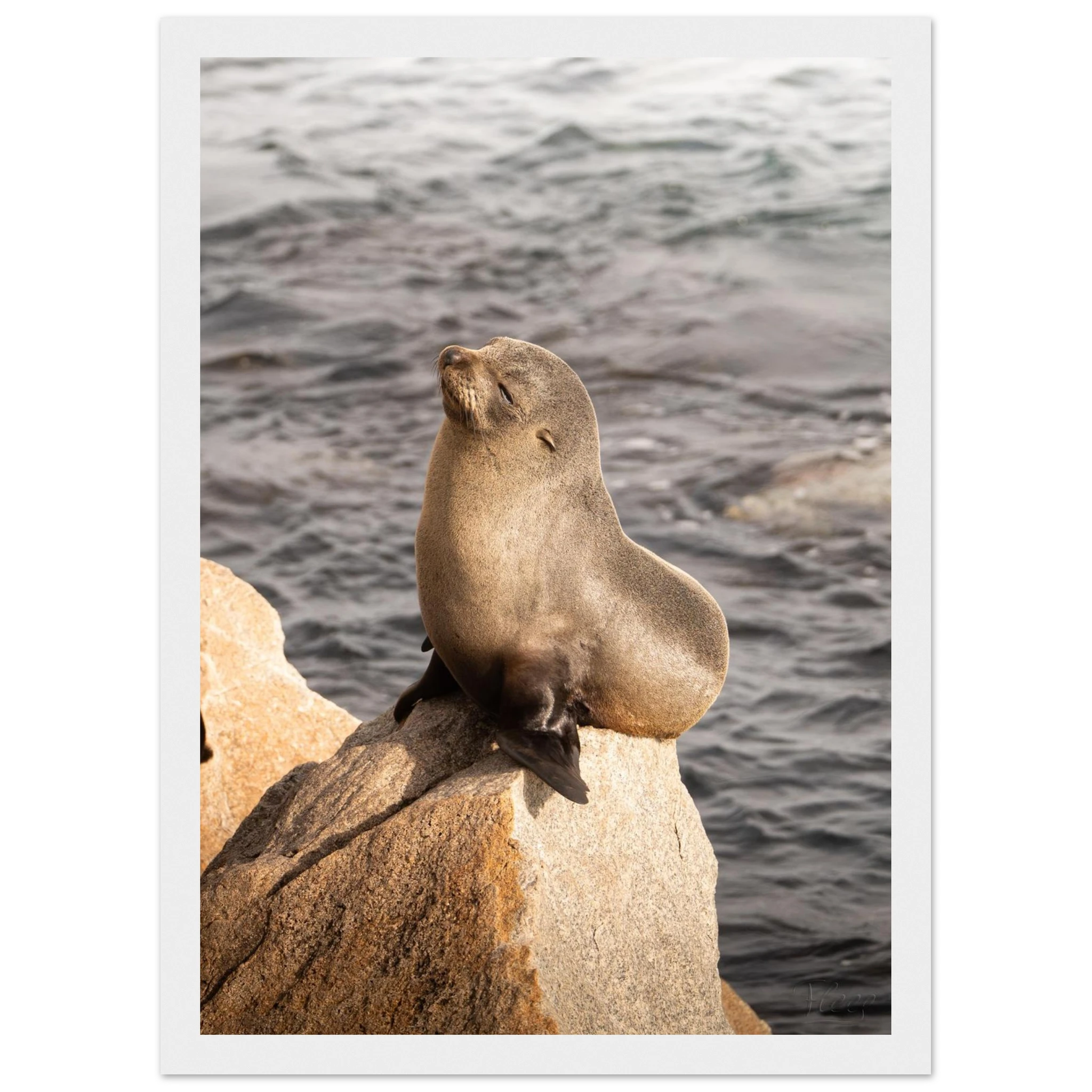 0207522e-a625-48a1-91fa-62b6768c5c1c