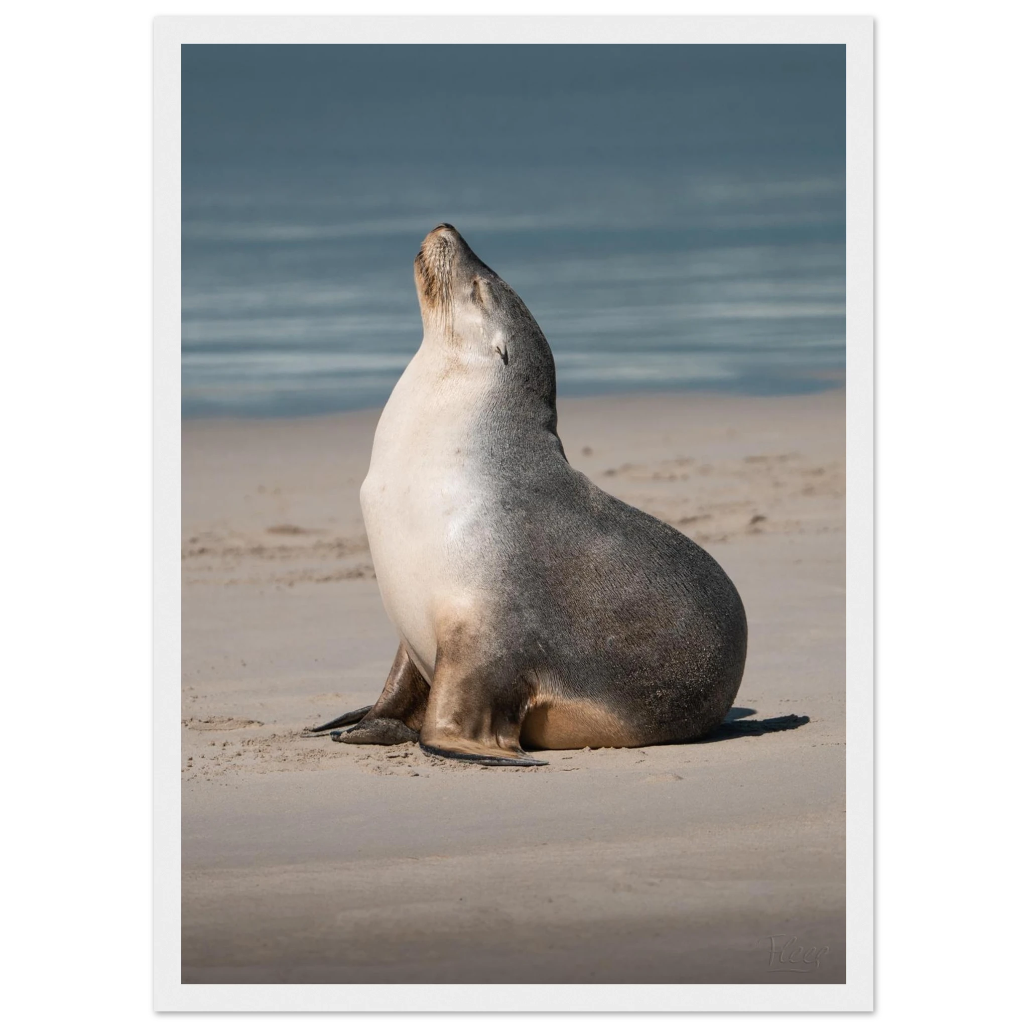 02381d91-168c-48b7-b85a-45dd9569415c