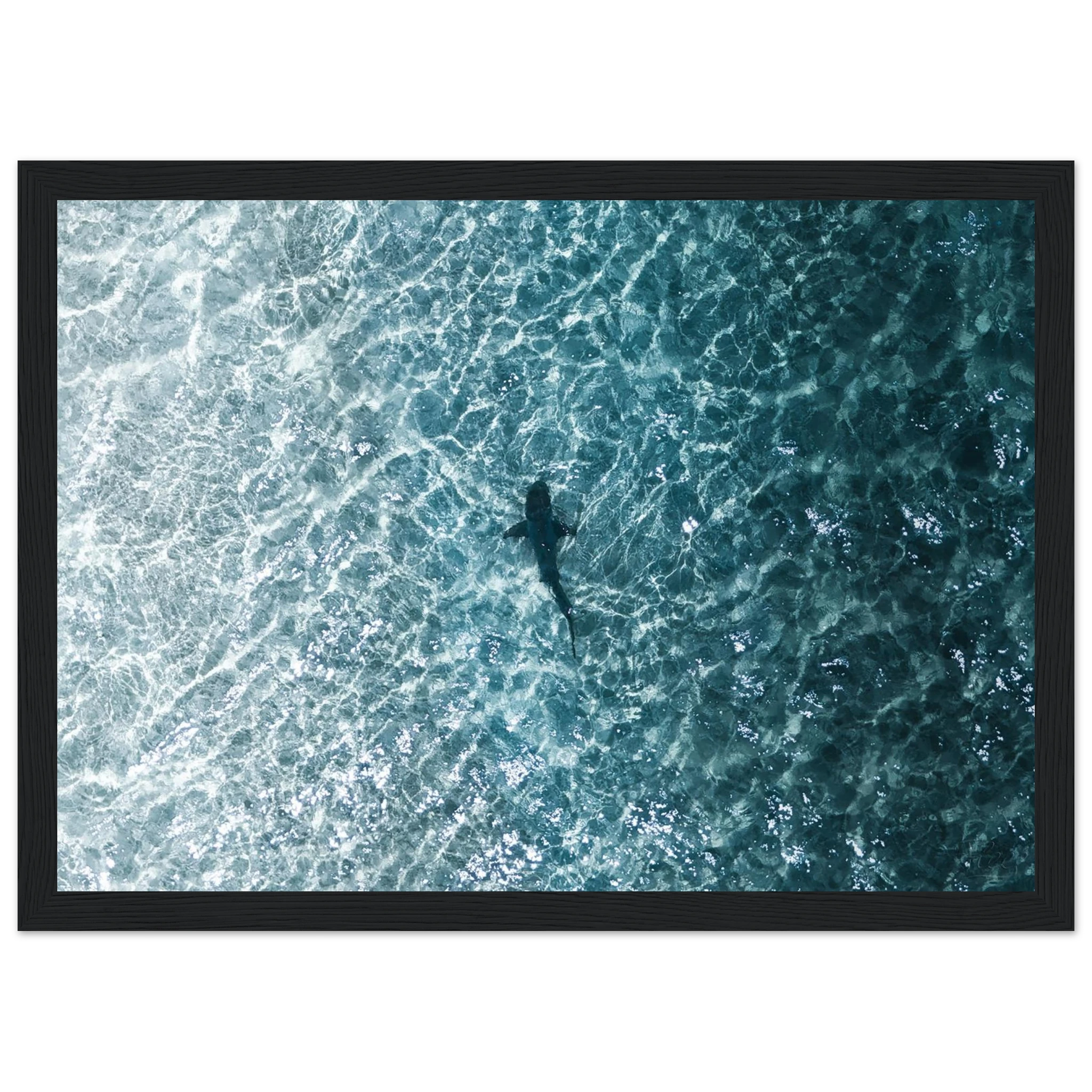 03e9a452-62bd-432c-8b9e-429af5305bf2