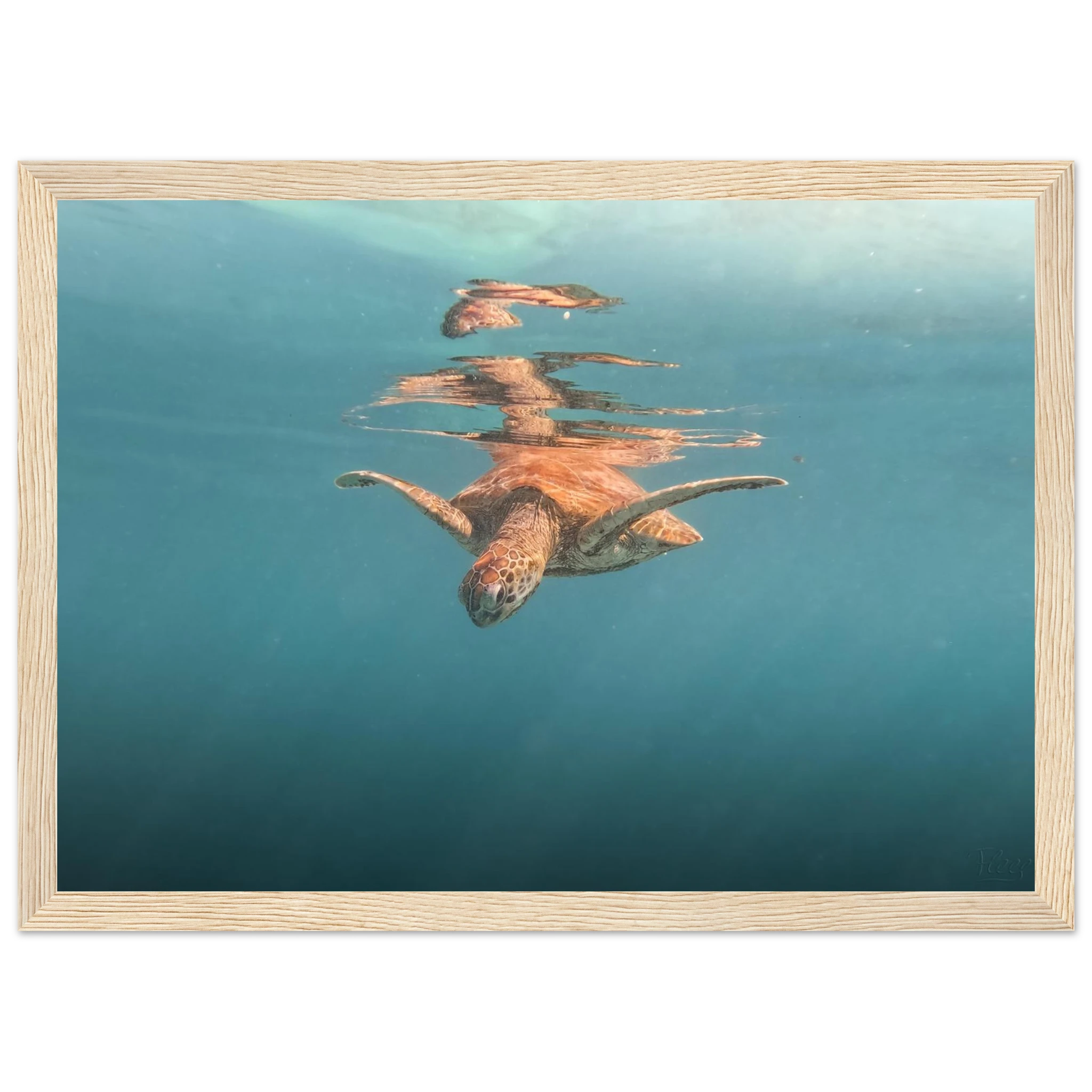 043ae3cc-01a7-436e-8933-cce9fe8d7f9c