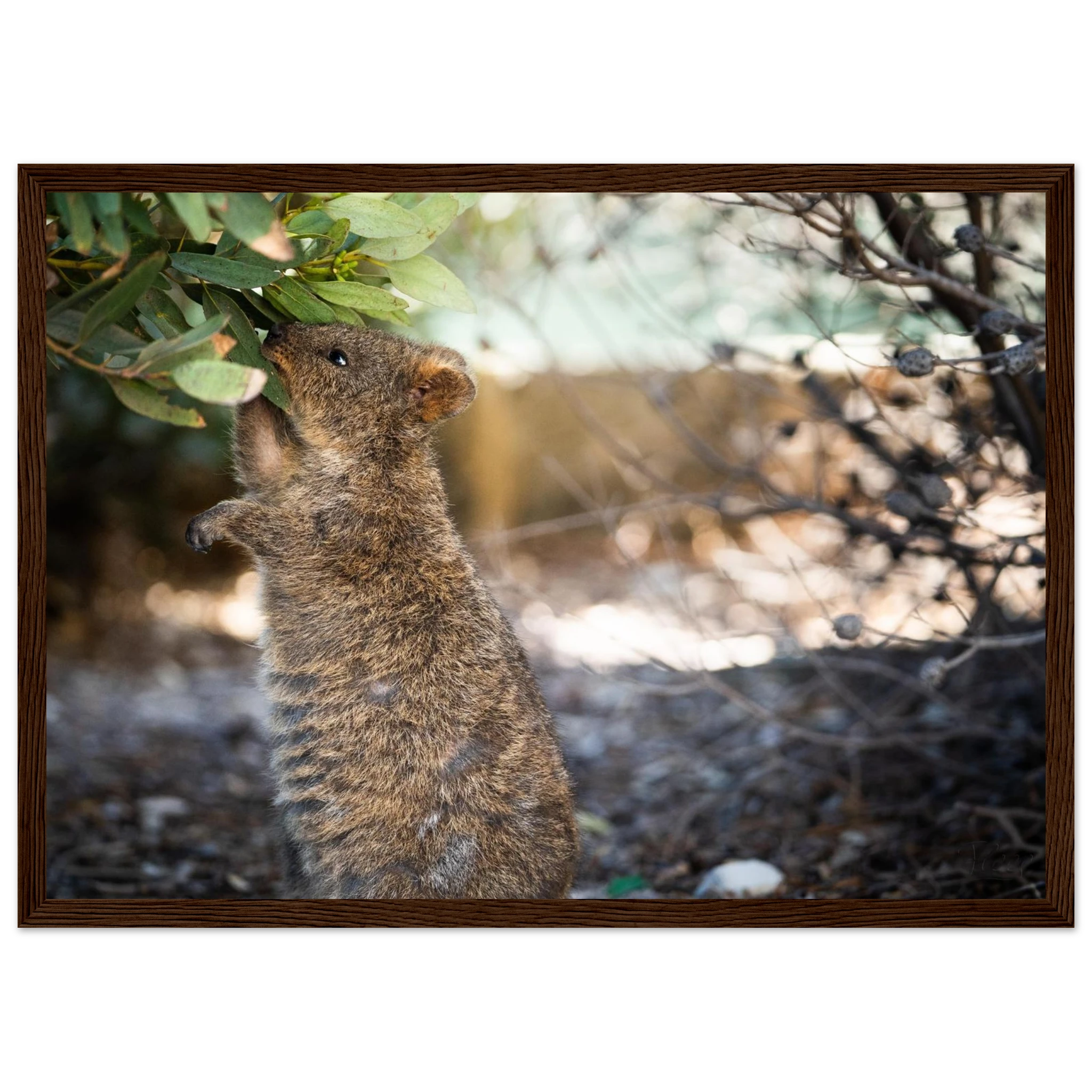 04519793-d059-4a20-b4a6-f7997b428db8