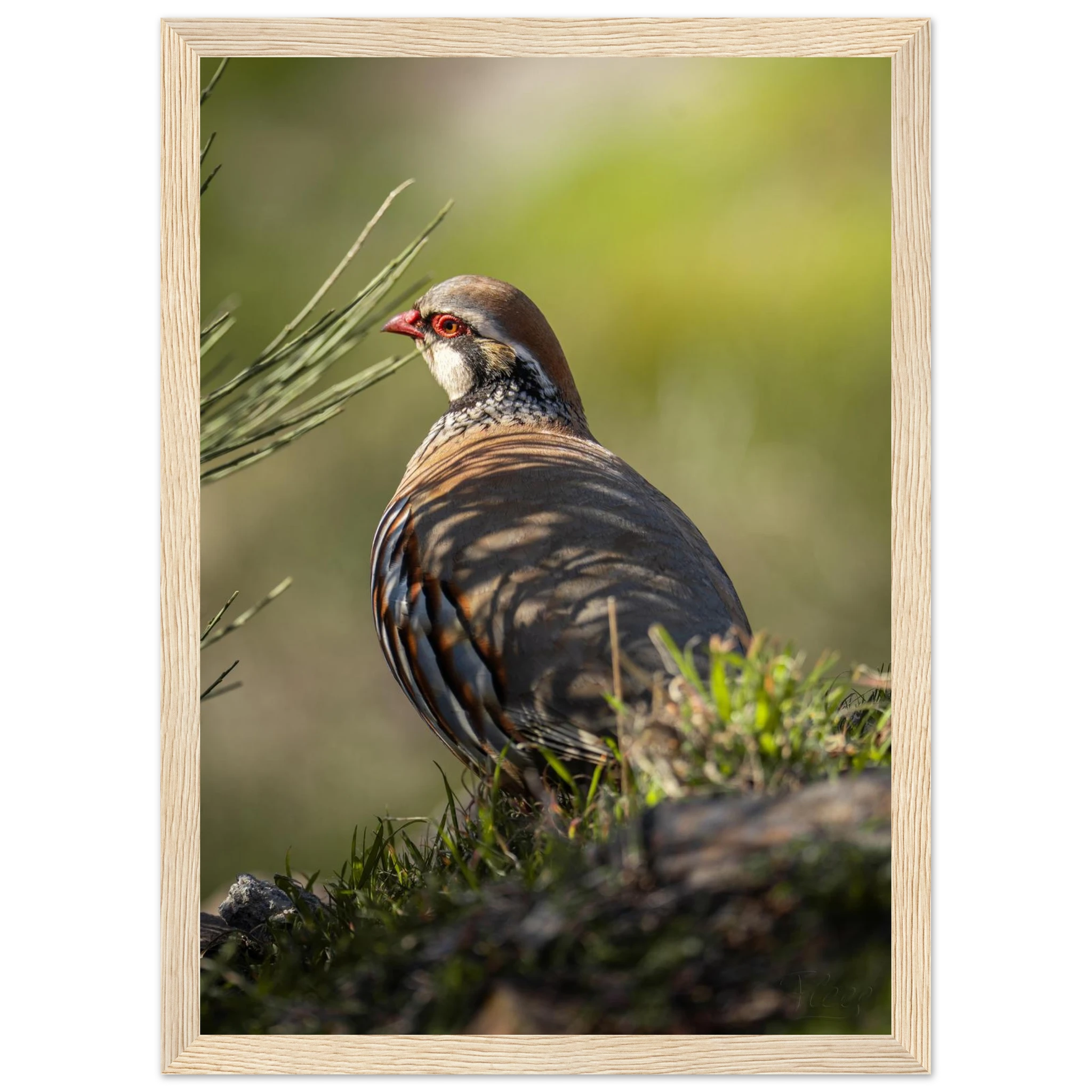 0531ab0b-b503-4082-956d-fbeda822c268