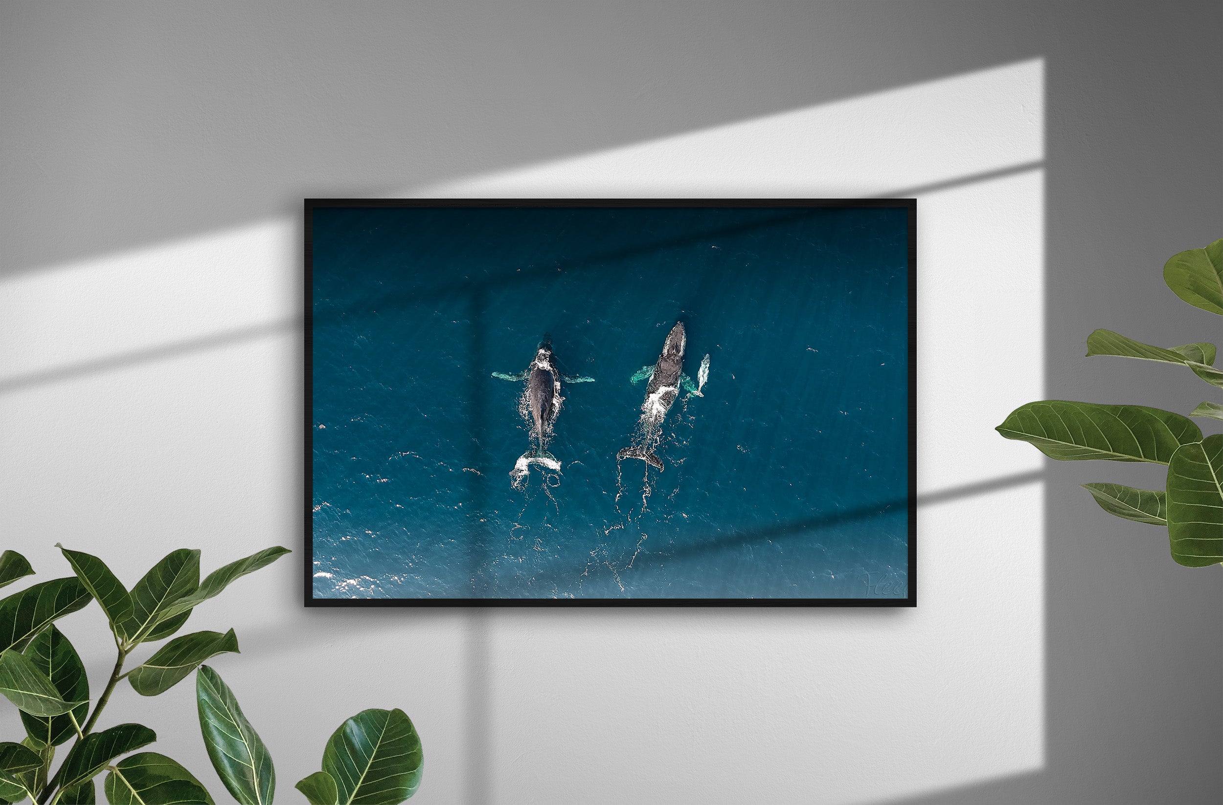 057e5288-8620-4934-b5c5-a8f36c8b068d