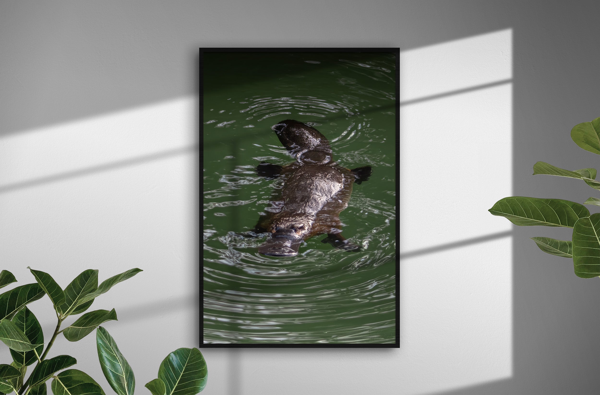 05d2ae25-cbc7-44b8-98fc-b9fa2fcaaea6