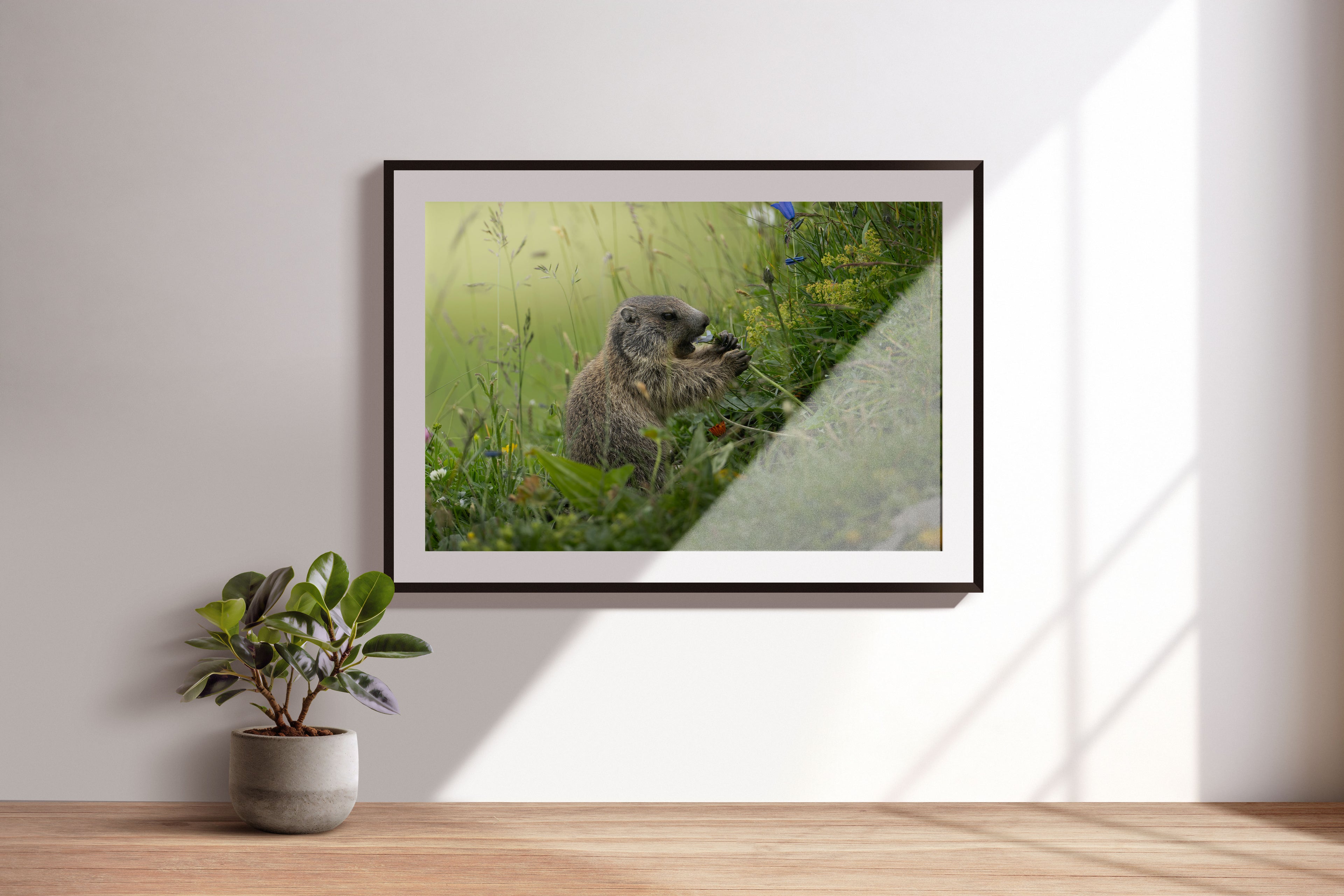 061b7368-53fa-4c33-90dc-8e8f8489678e