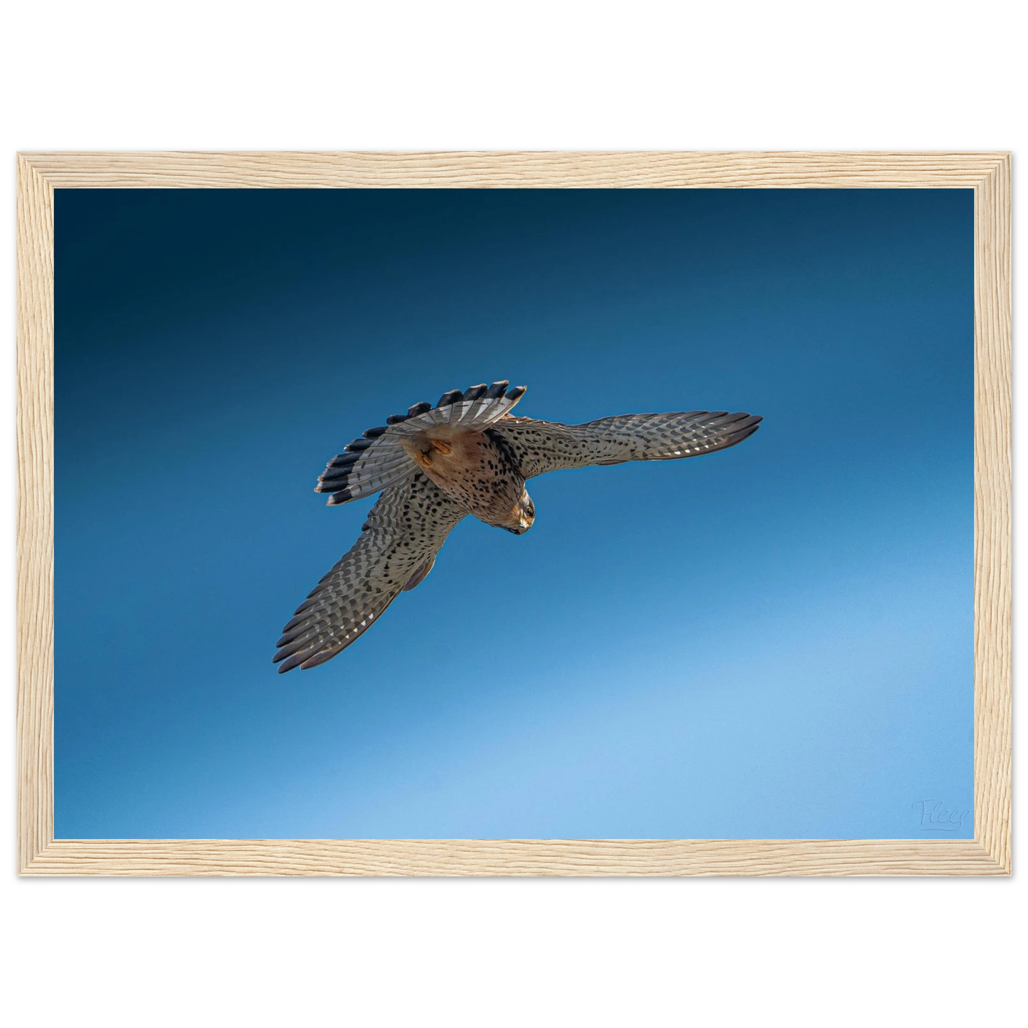 067d3dd3-62dc-4619-a374-d6274be5f918