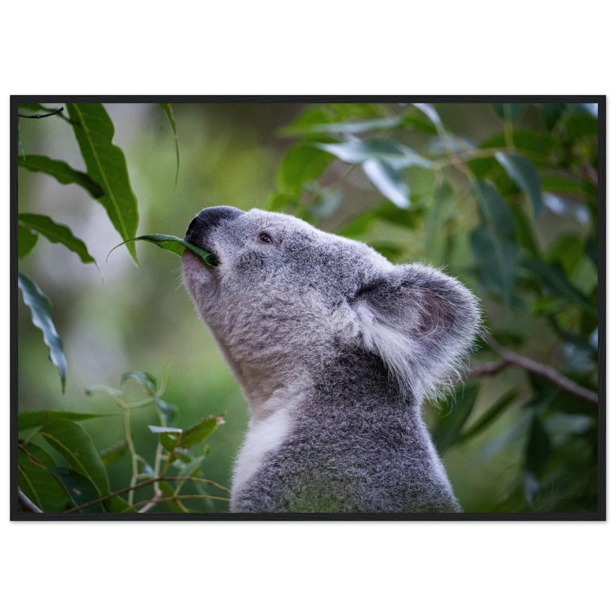 06ea352c-476e-43a0-92ed-4f29c5493048