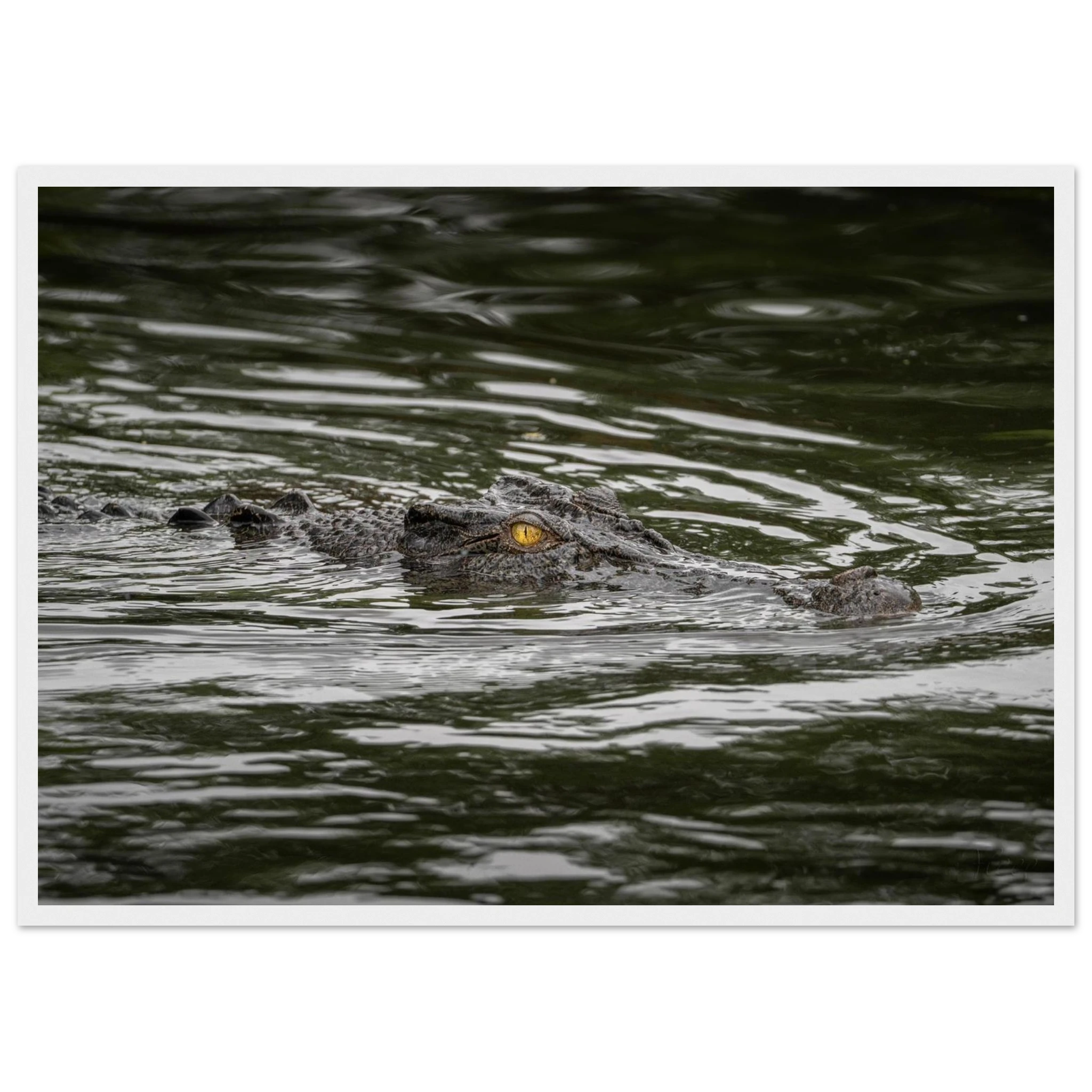 0716572b-4a8c-4a68-93ad-9b6e043b8995