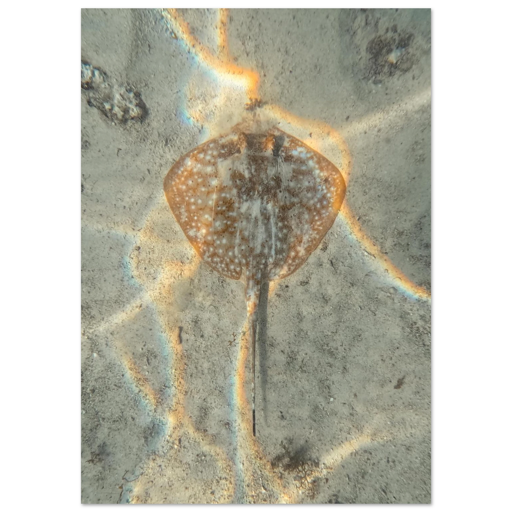 07345ec8-68b0-42db-acae-568fa075ddf9