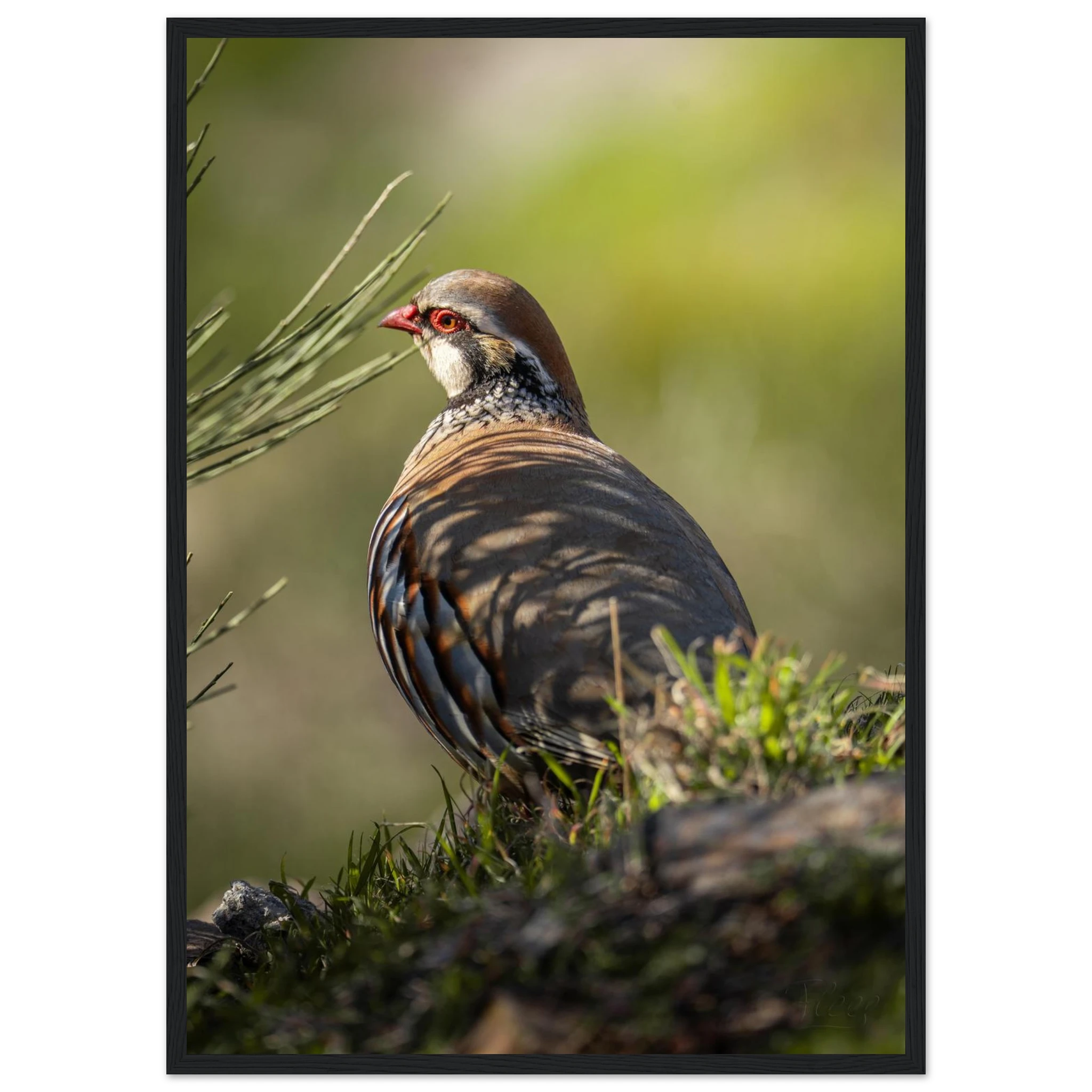 0762da5a-38f3-4fcc-a5d7-df58c93d868c