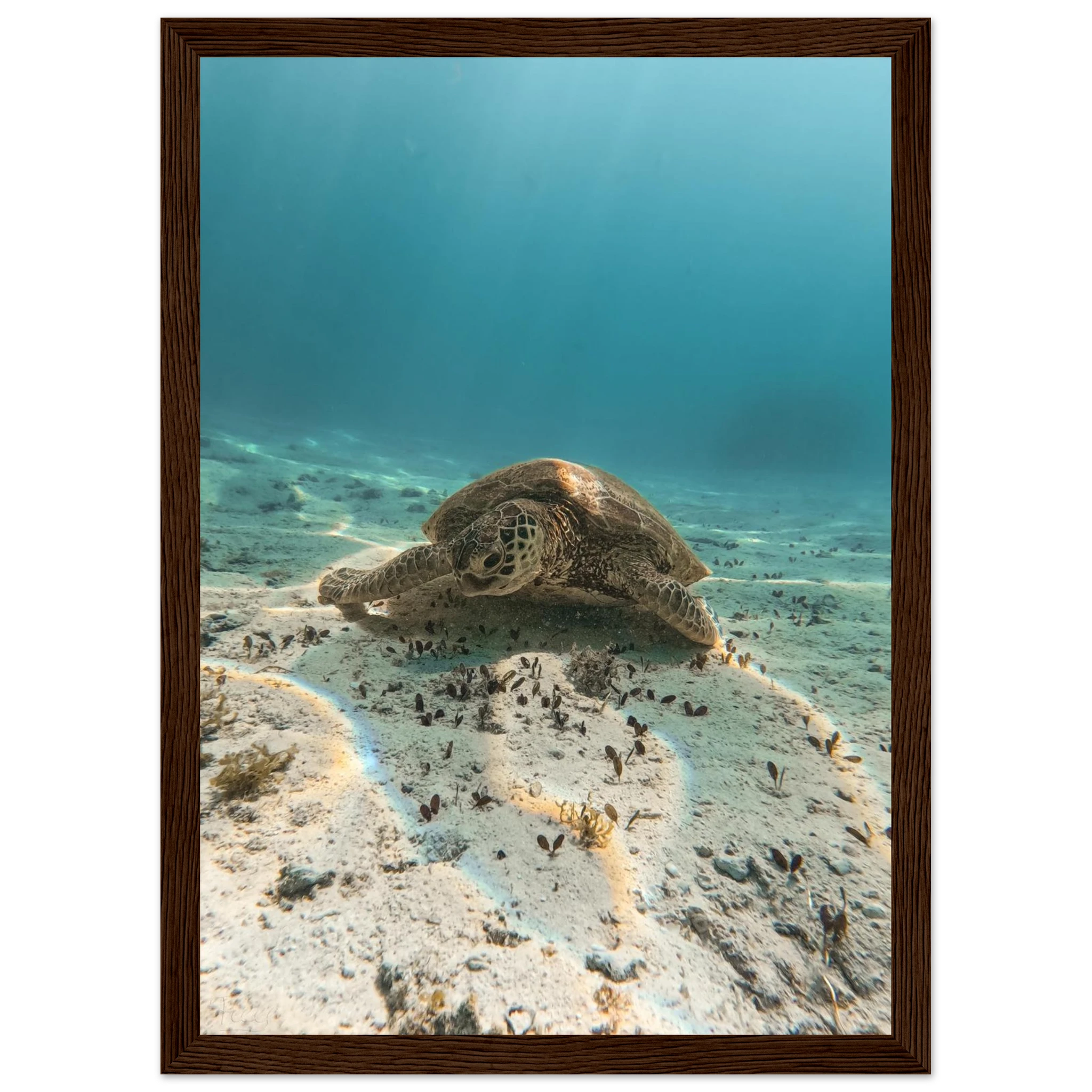 076e0e15-e879-4d90-8a7e-515102b52fce