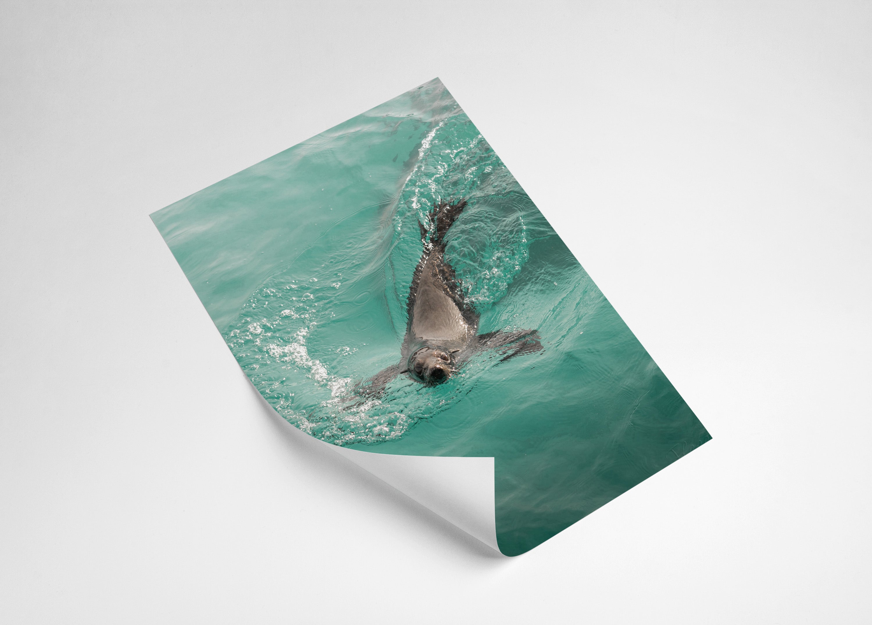 07733967-5f31-4bb2-bd9c-e54dcd8d8b25