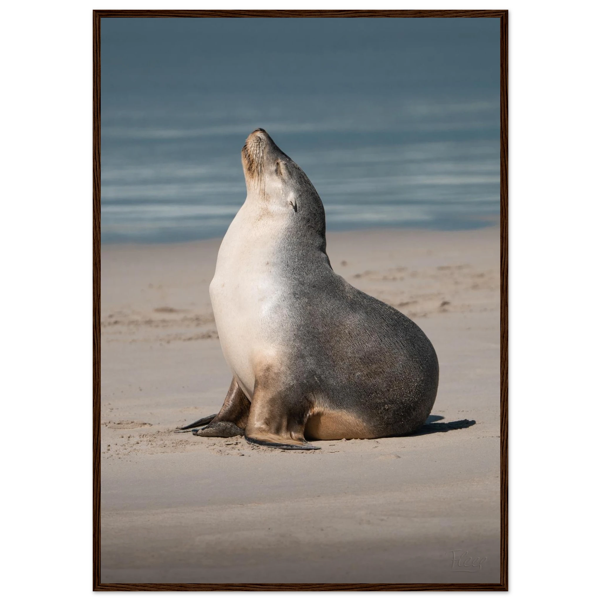 07b6c477-b506-4f34-b2e3-e3570d2f5c4d