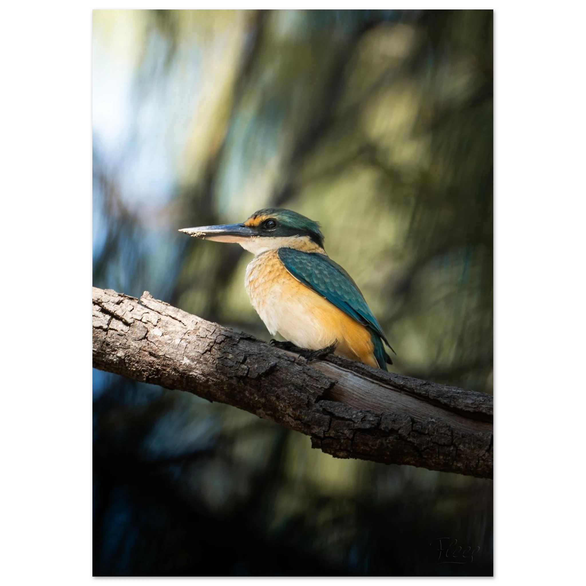 08644958-010f-43b9-ab99-ae2166a1ff5e