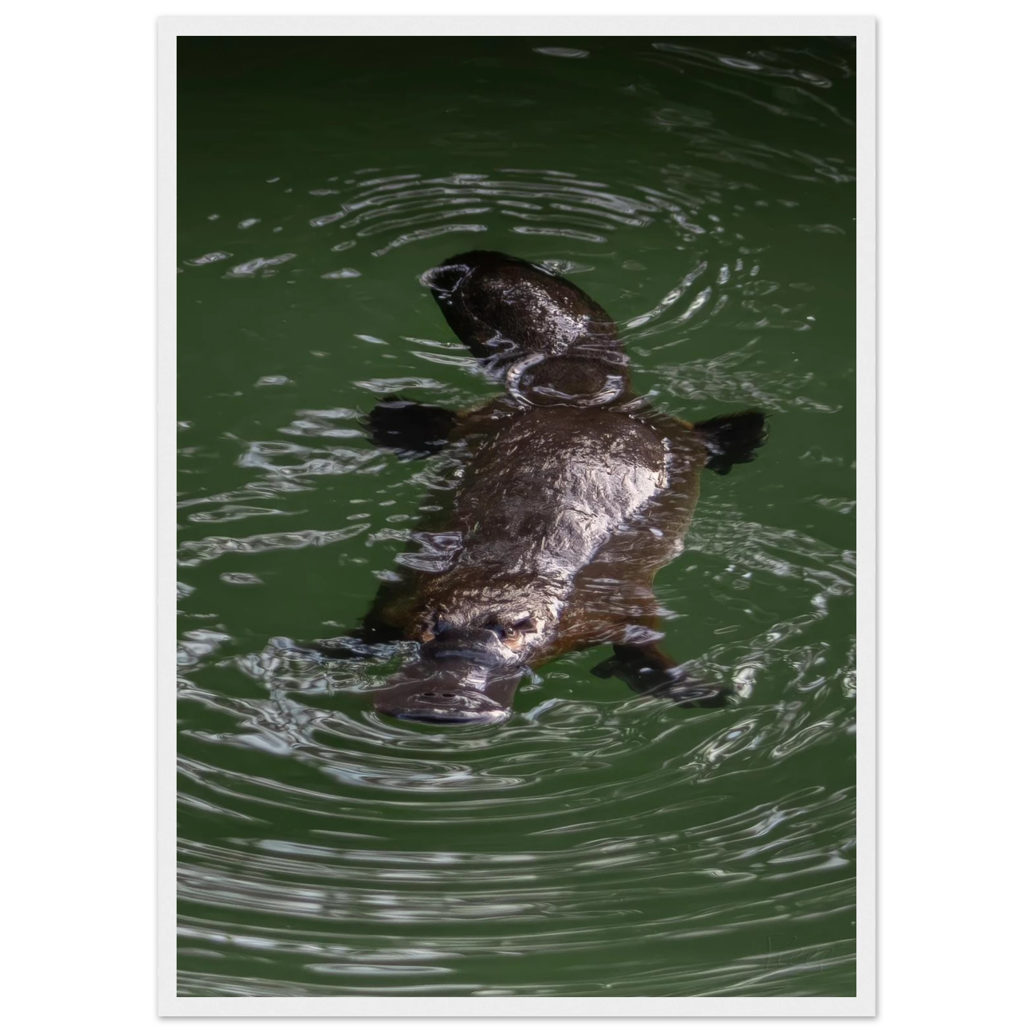 08b06ffa-0bf6-4e88-8c94-d807d7d49e15