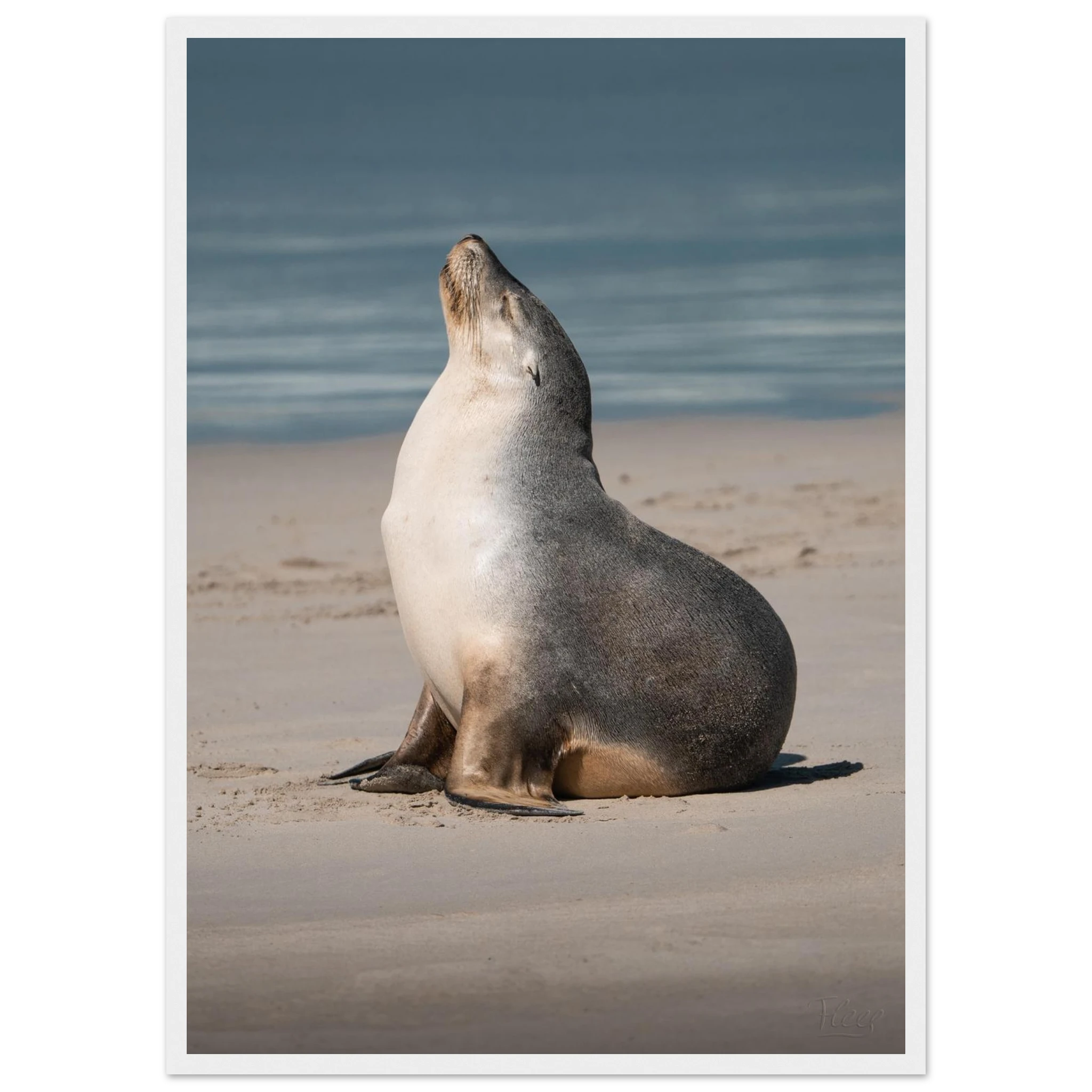 08e184e9-3b0c-4835-b763-b5ce25b97a2b