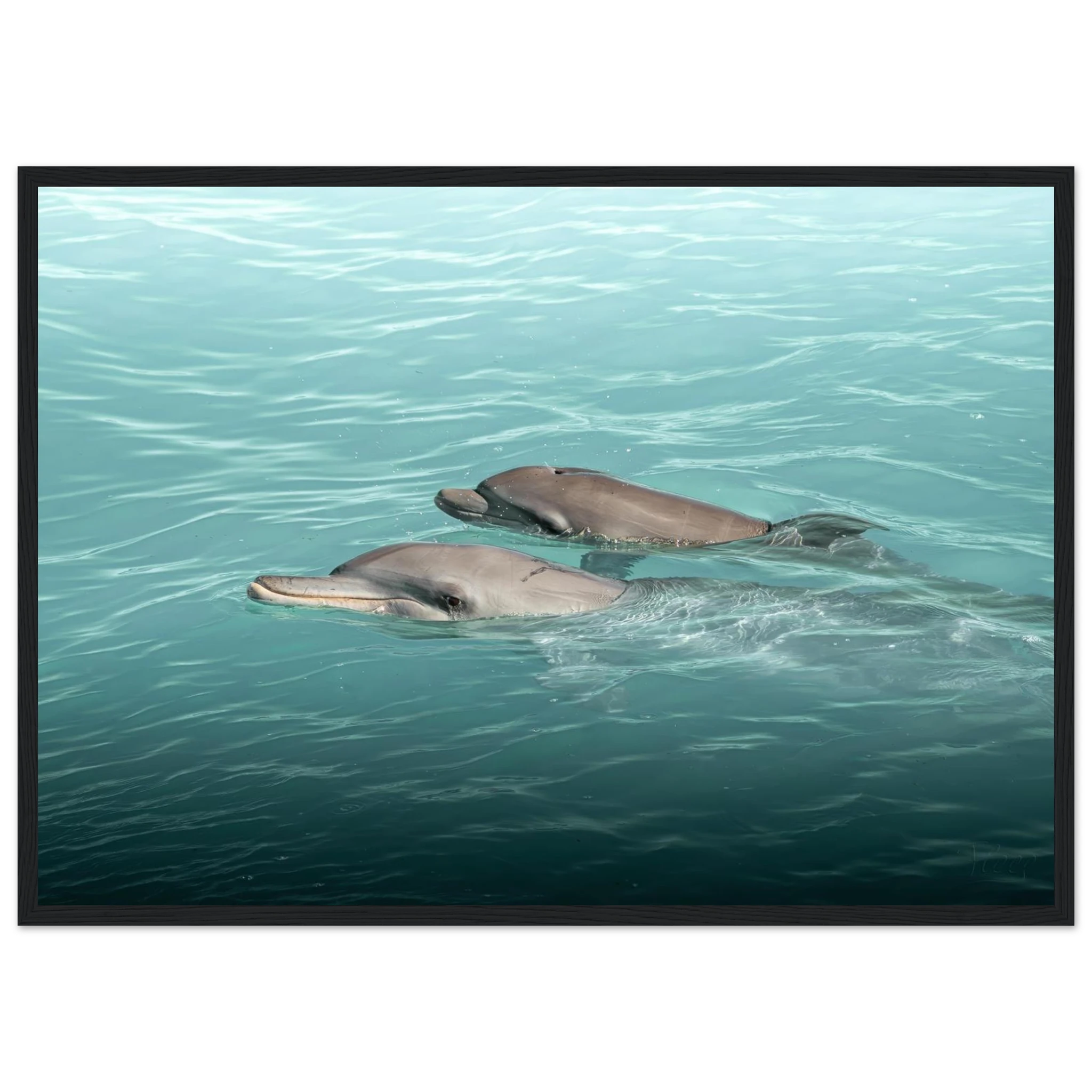 09fbb383-2475-4b84-a690-3a9ff3735fda