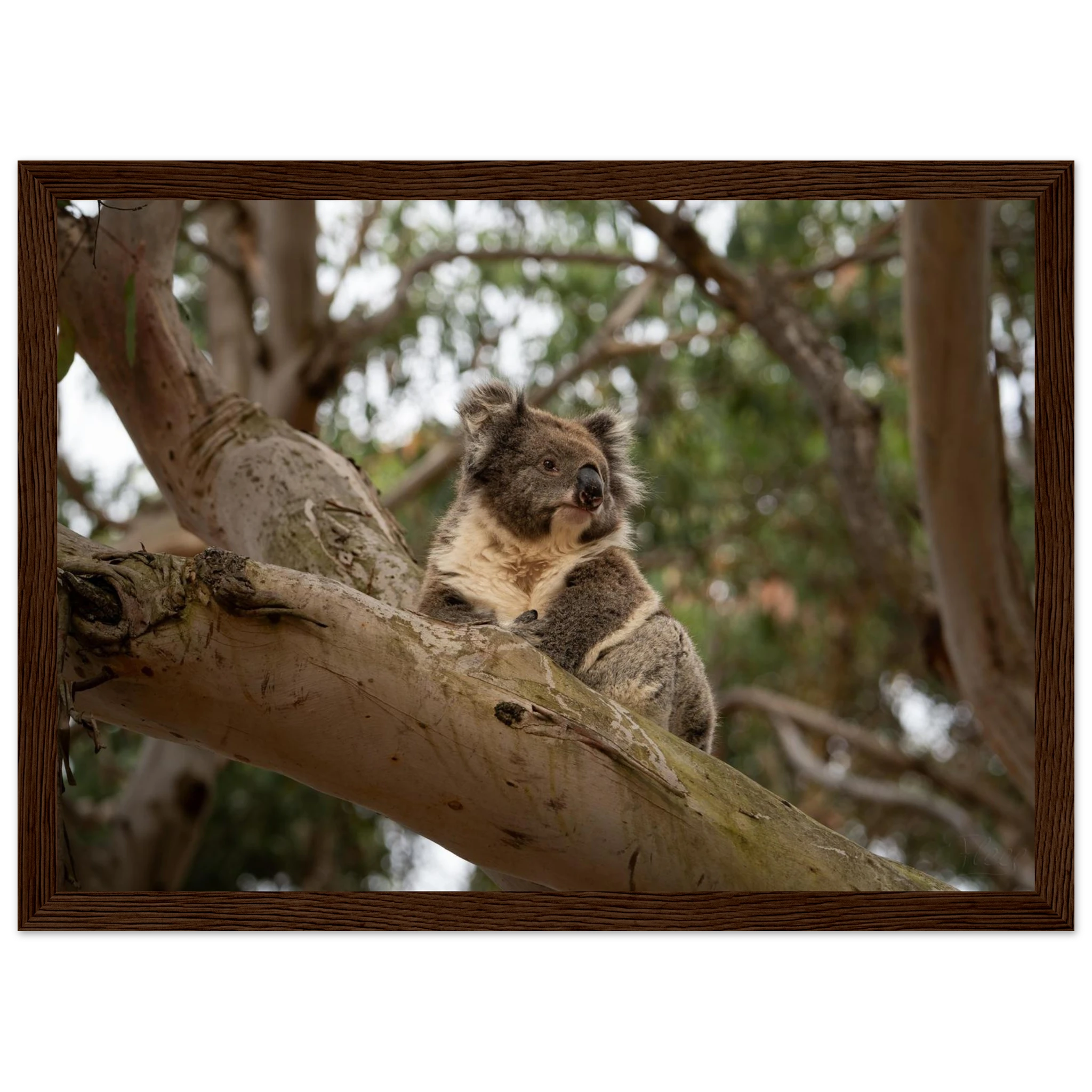 0a450e21-4082-4dd5-8fde-f7a4da901a7e