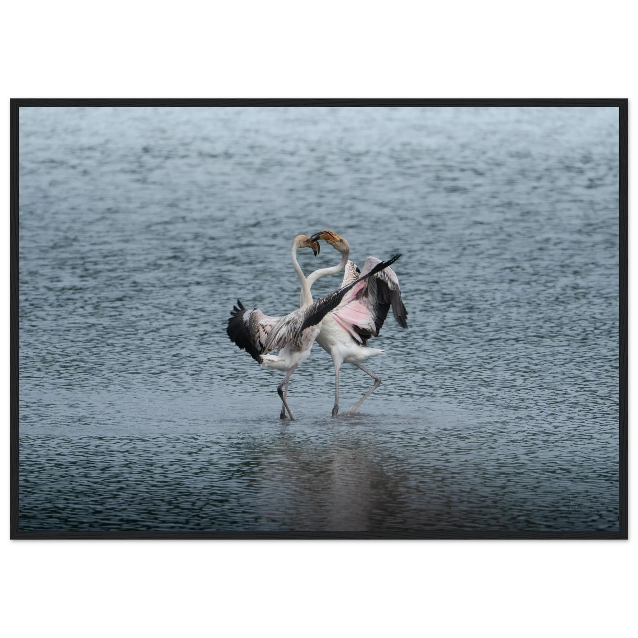 0aae7b41-c14f-42c8-a17b-d63d0875f827