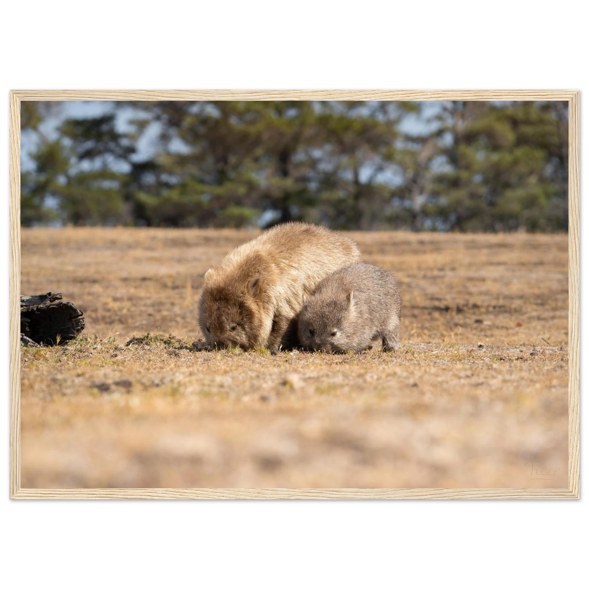 0b2e8150-95cd-42c2-8abe-5125e572c4c0