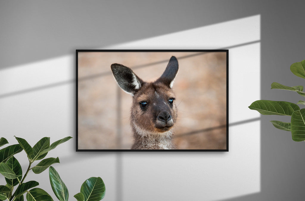 0b50a9a2-0c9f-413d-b6fa-4a76662adafb