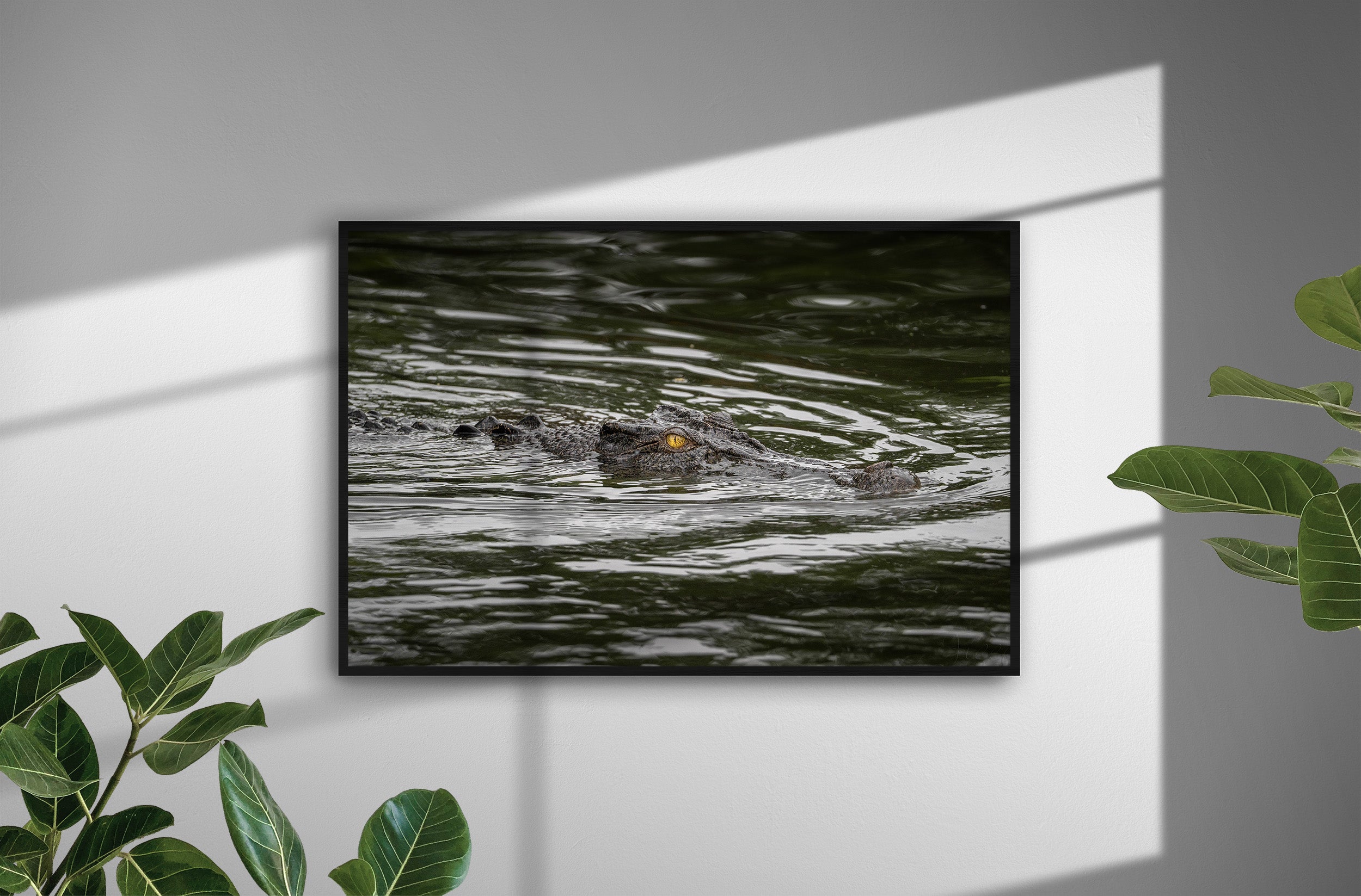 0b8c9c7f-a21c-4858-a73f-71479da427e5