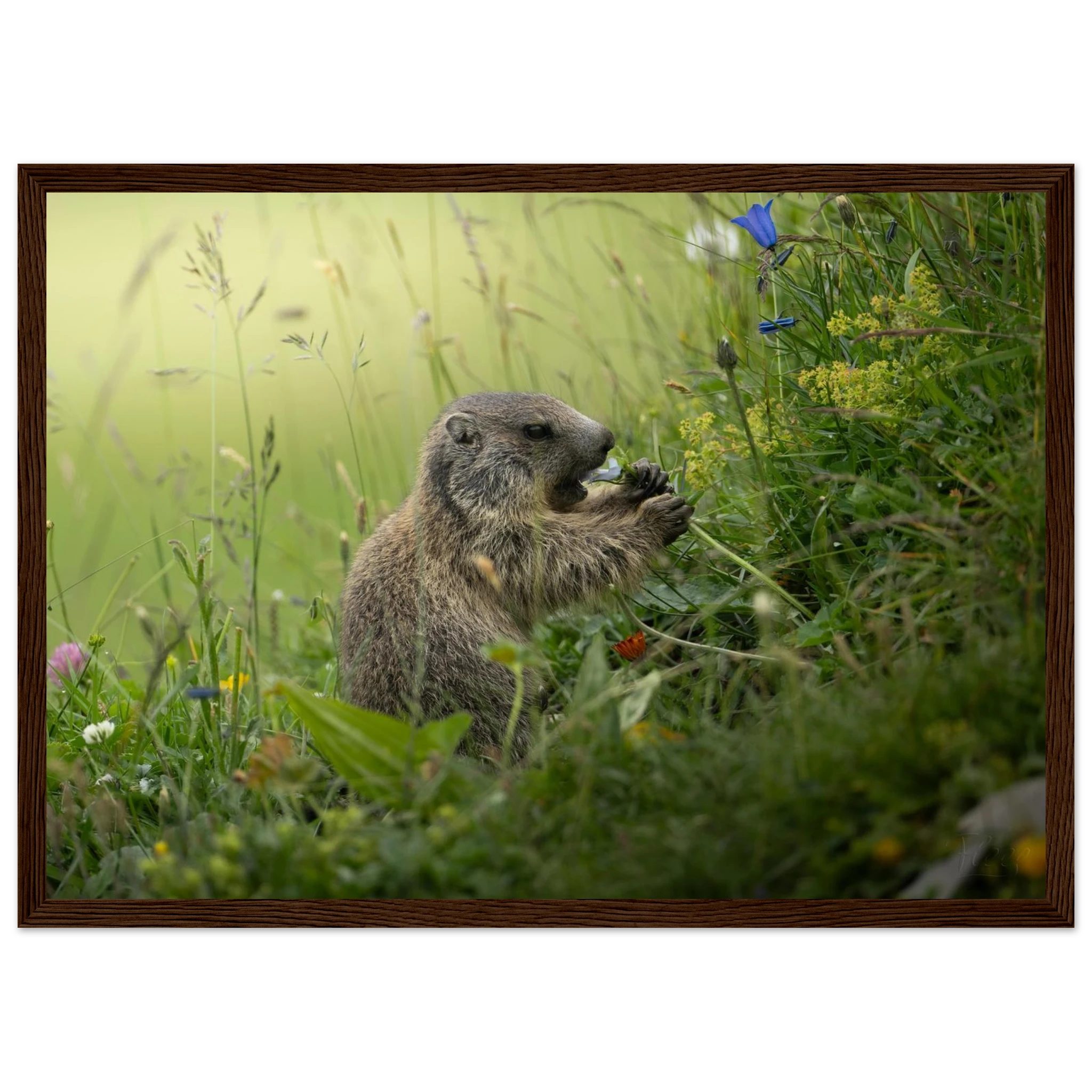 0c608d9a-4ca1-467f-a5a3-00b7753ec797