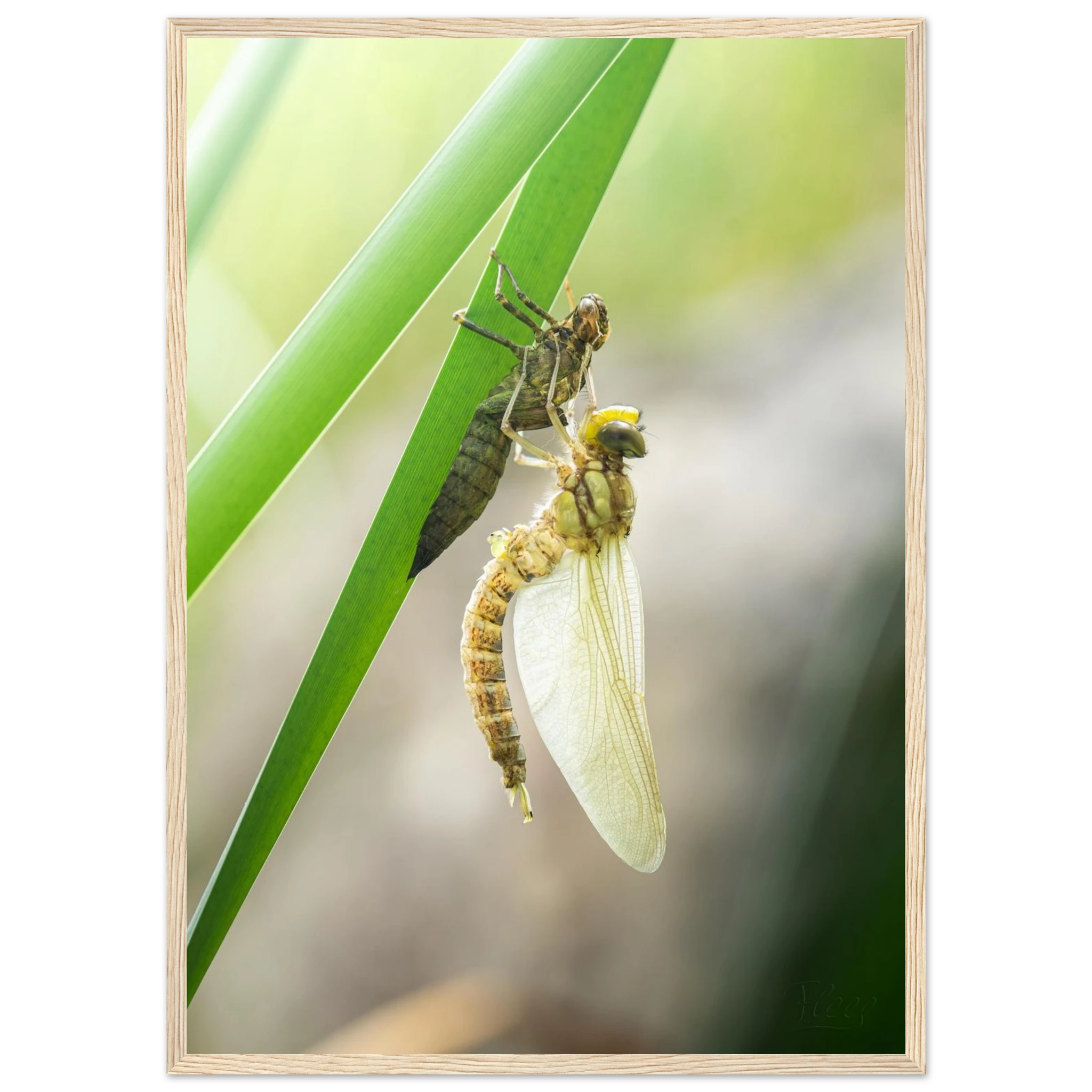 0cb03a0d-3a39-42b3-9b32-76a47d5bd92c