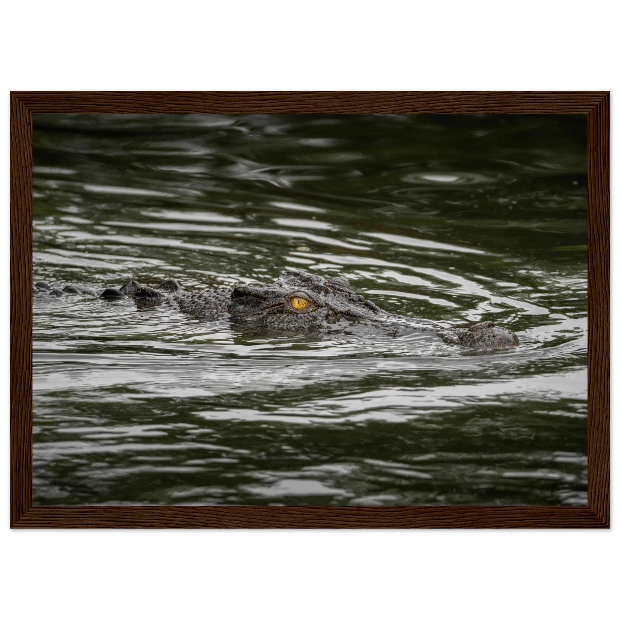 0db8f8e4-3922-41f4-a516-3752b022d8a7