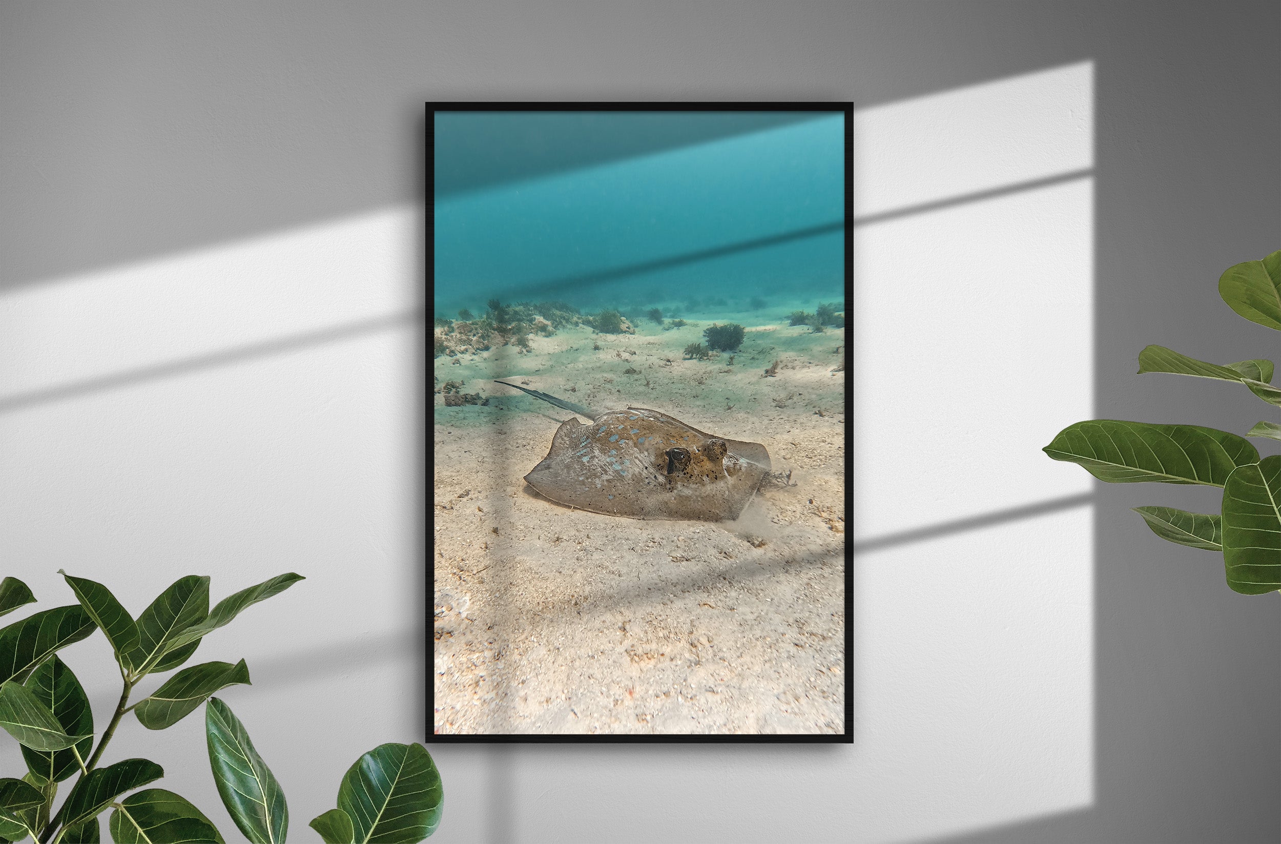 0df7569a-b659-4159-97e1-11be0252c579