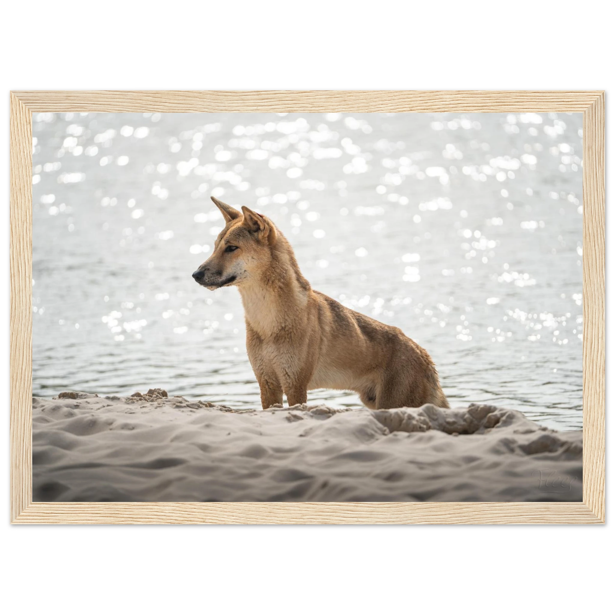 0e28312b-7d7c-4286-b3b5-840347ffb10d