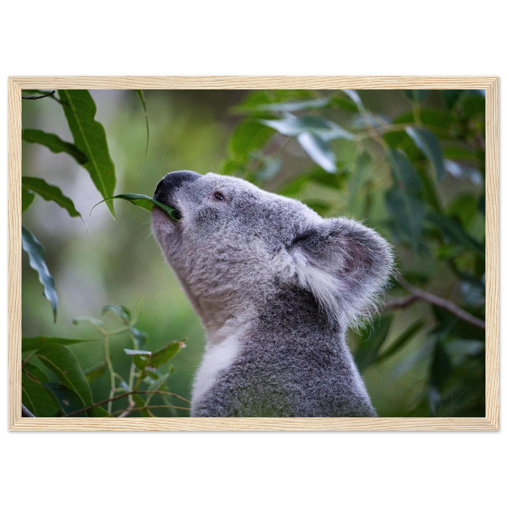 0ec7c264-c934-4afa-96da-cab84222e18c