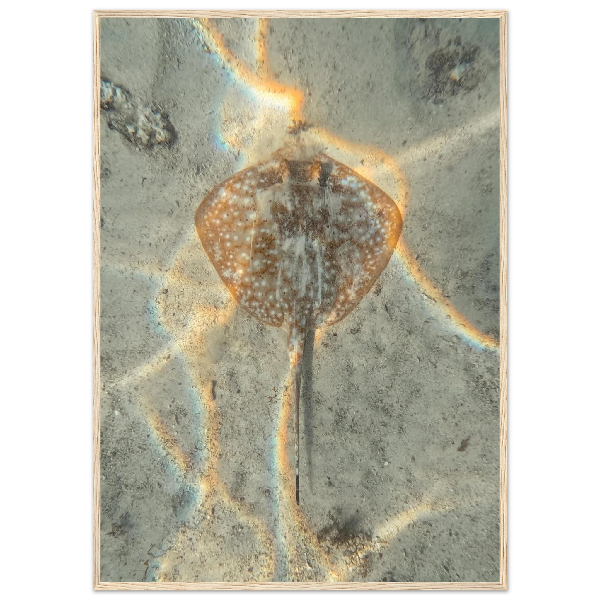 0f420750-aee7-440c-8877-88255e5bda5e