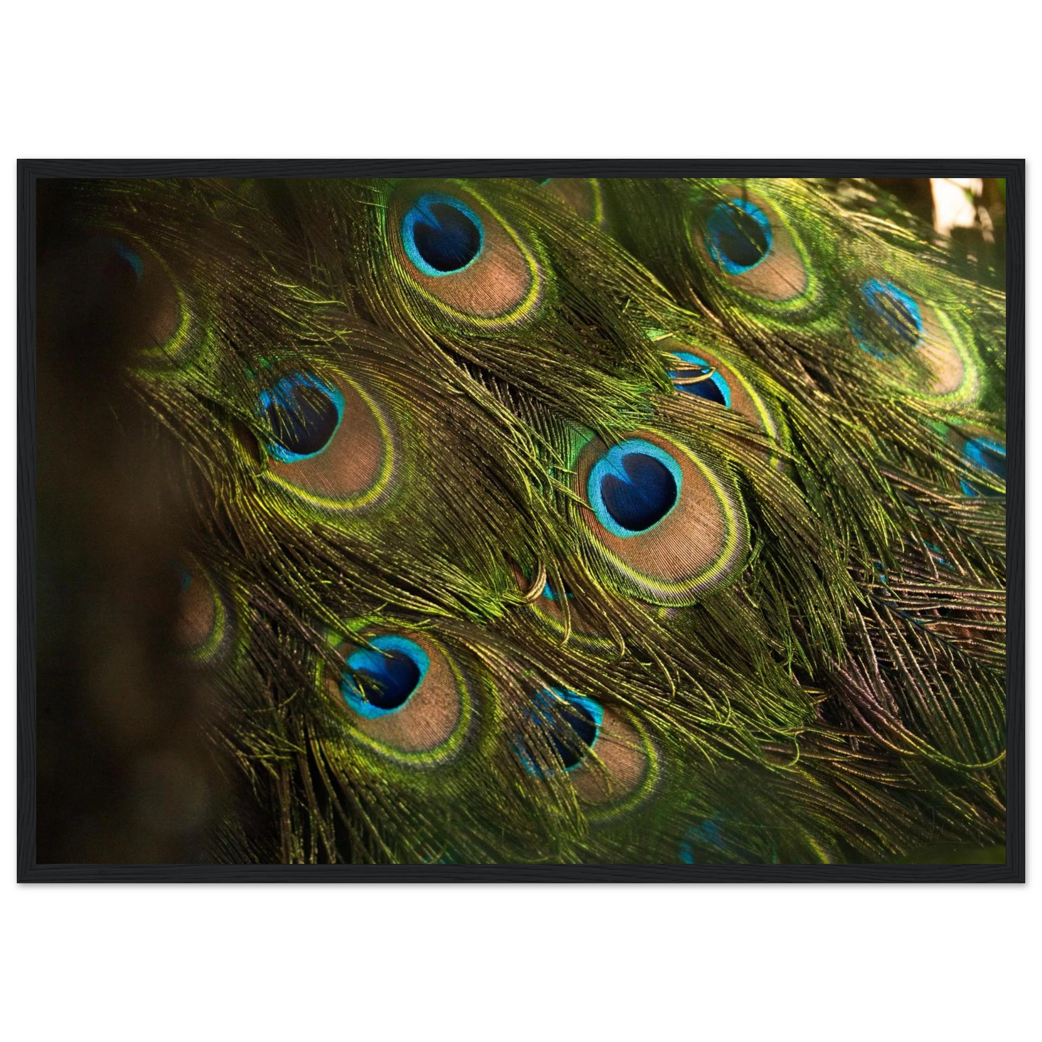 10302251-52c7-41e2-b622-f1987378d302