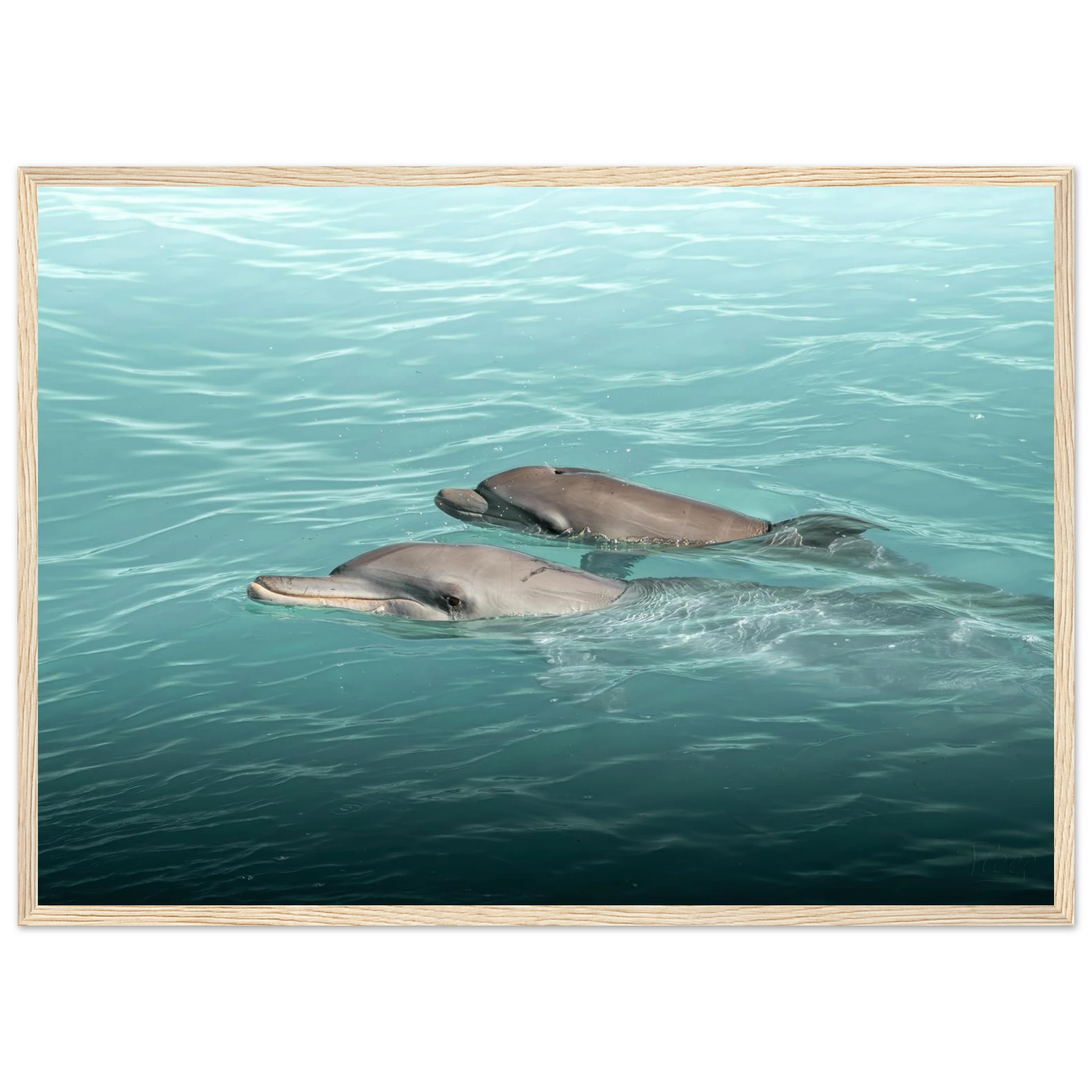 108bc37e-8ae4-458b-9e4a-dadf45049383