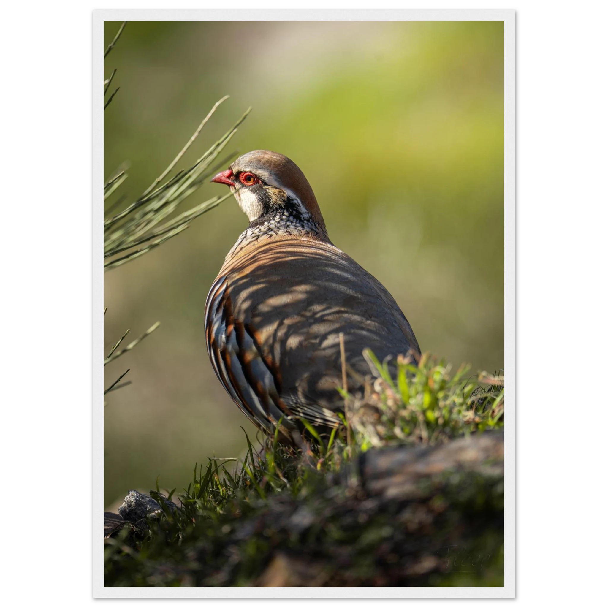 11b809fd-12bc-4a2c-955b-a8f89ba13ad8