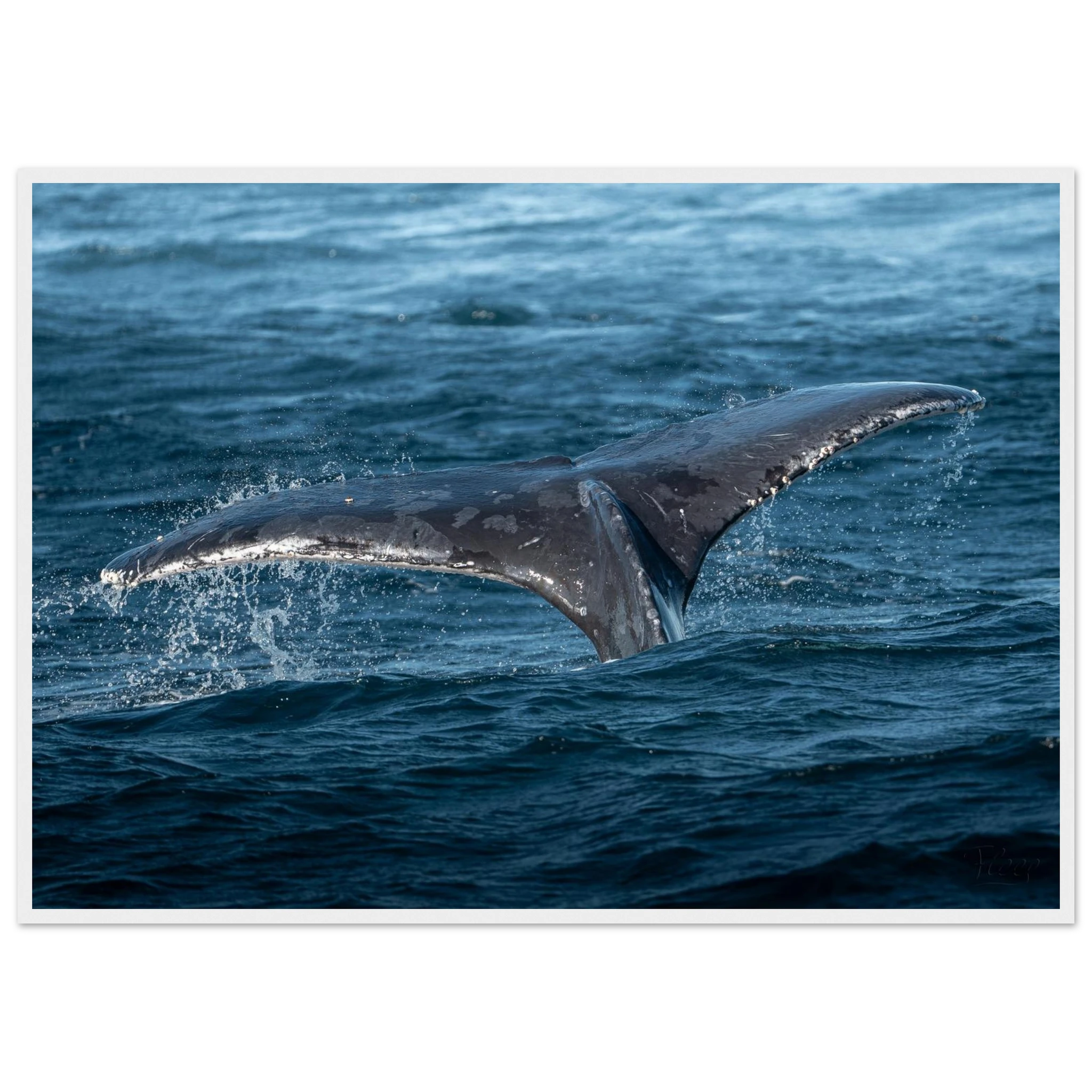 11ccf8fb-274c-4087-959c-68e5e075bcc2