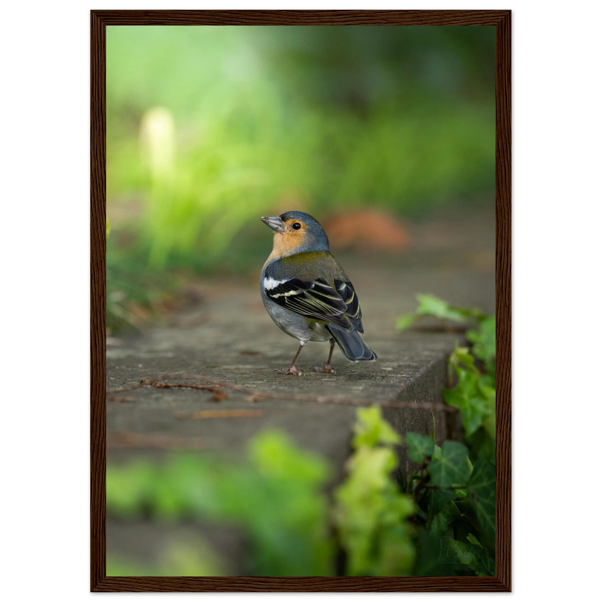 11e59671-e16b-48eb-9a28-fa38b871267f