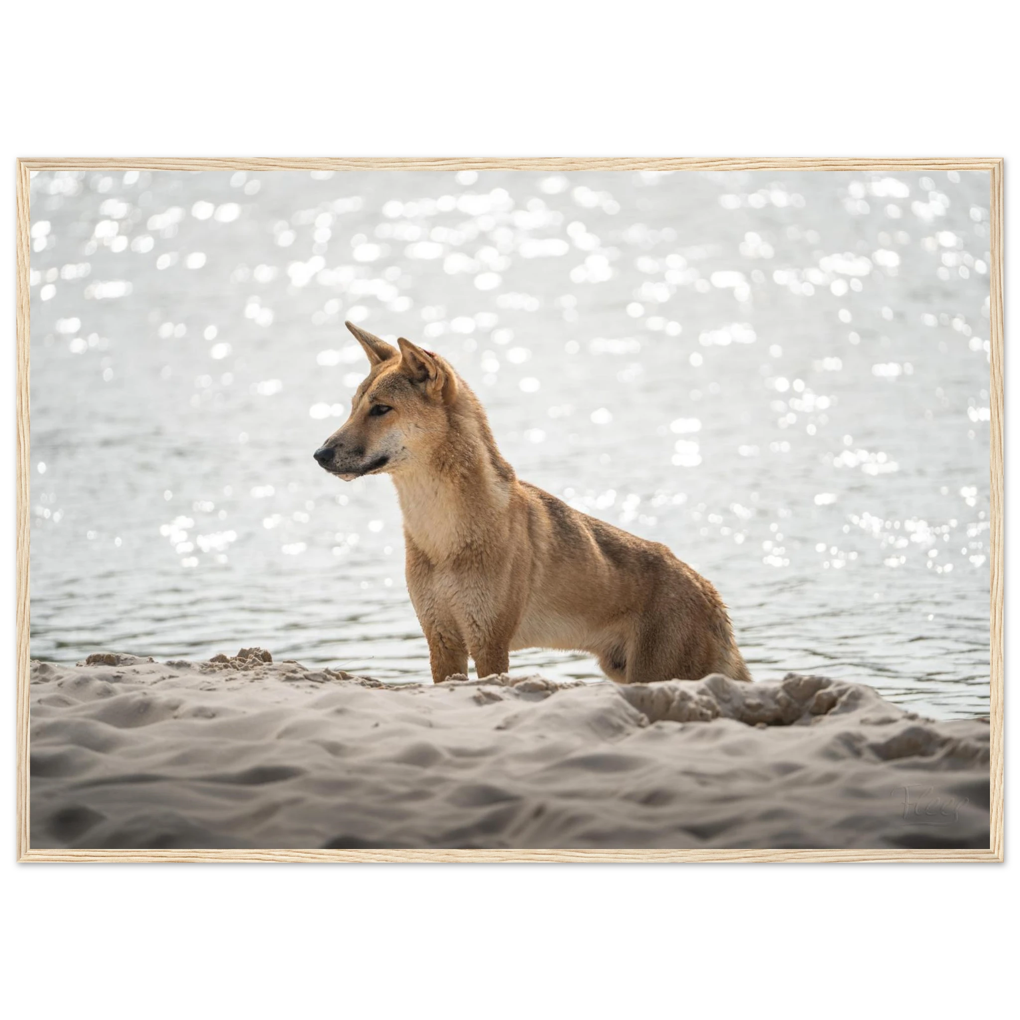 11e59ff3-6785-40e5-a43b-b6bc0dbf969b