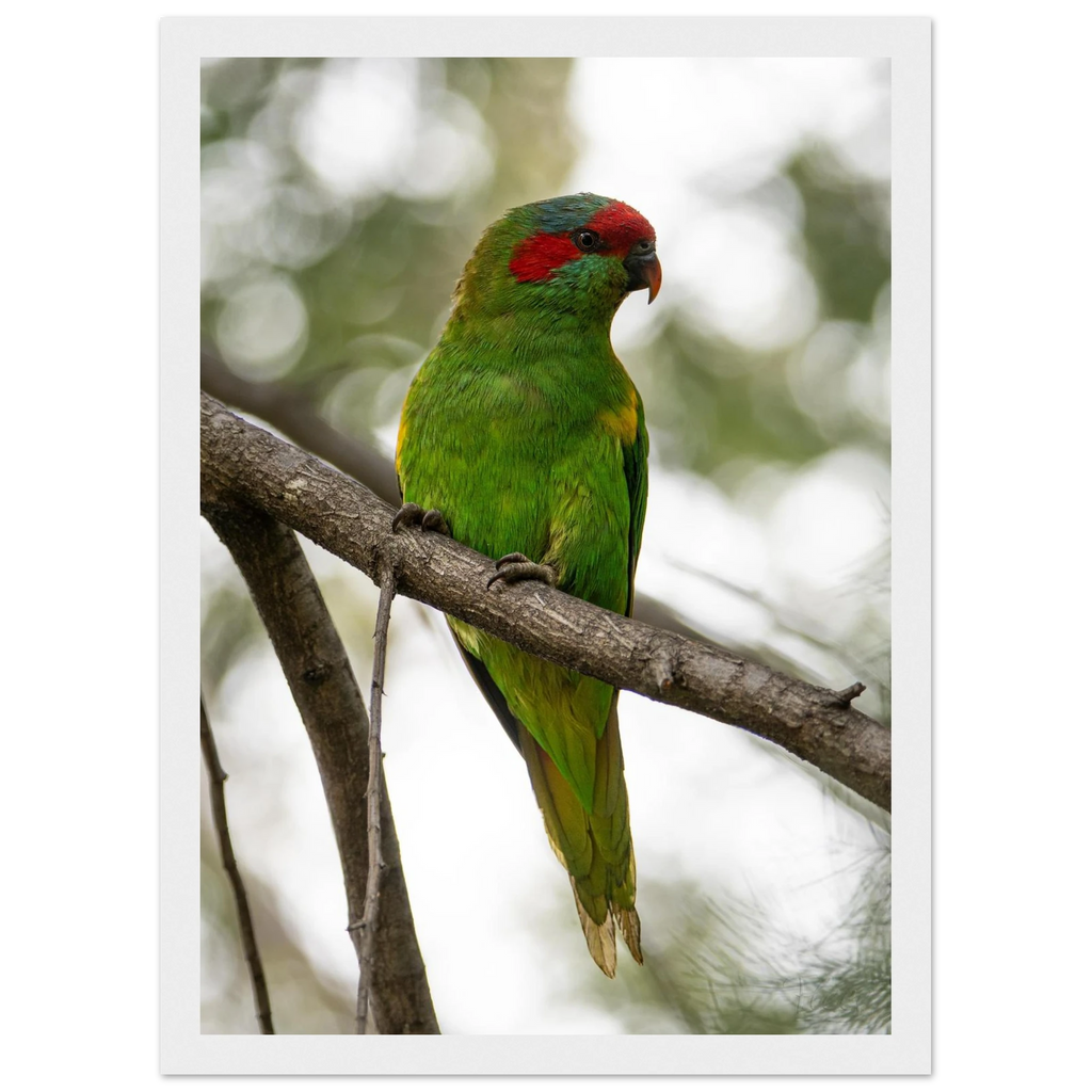 13317f33-c44c-445d-9514-b19b1d3794e7