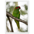 13317f33-c44c-445d-9514-b19b1d3794e7