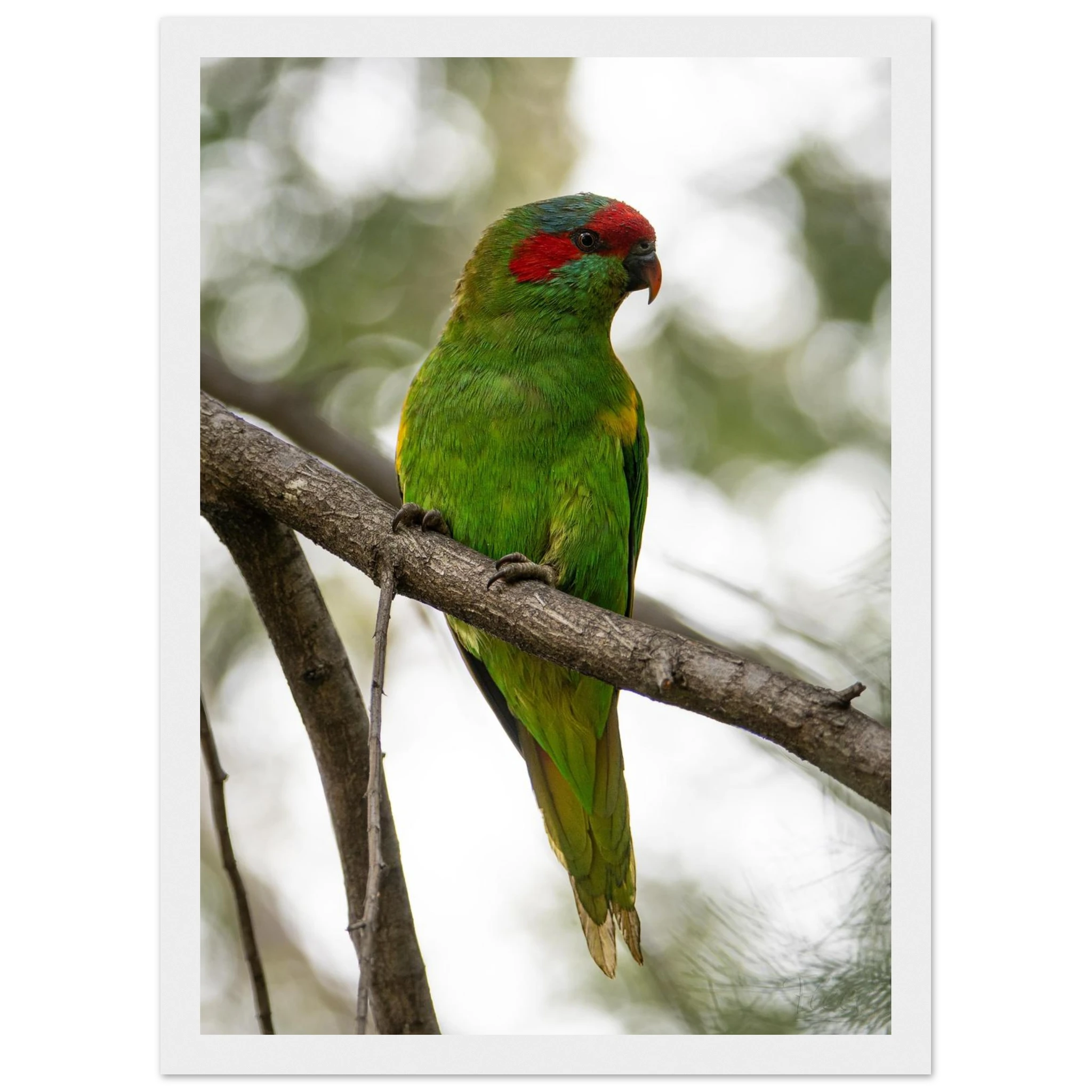 13317f33-c44c-445d-9514-b19b1d3794e7