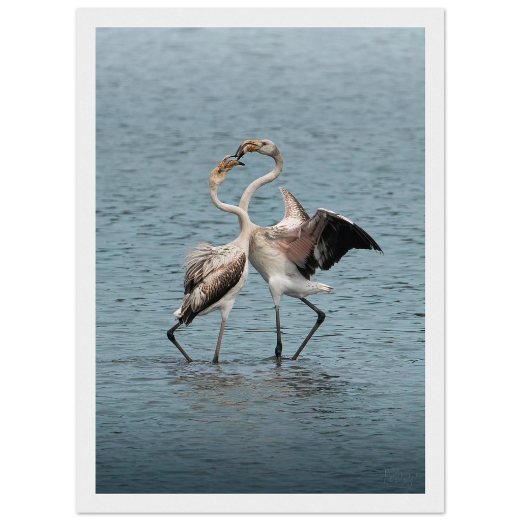 13bf51e6-9710-428b-9f80-56841eef5e71