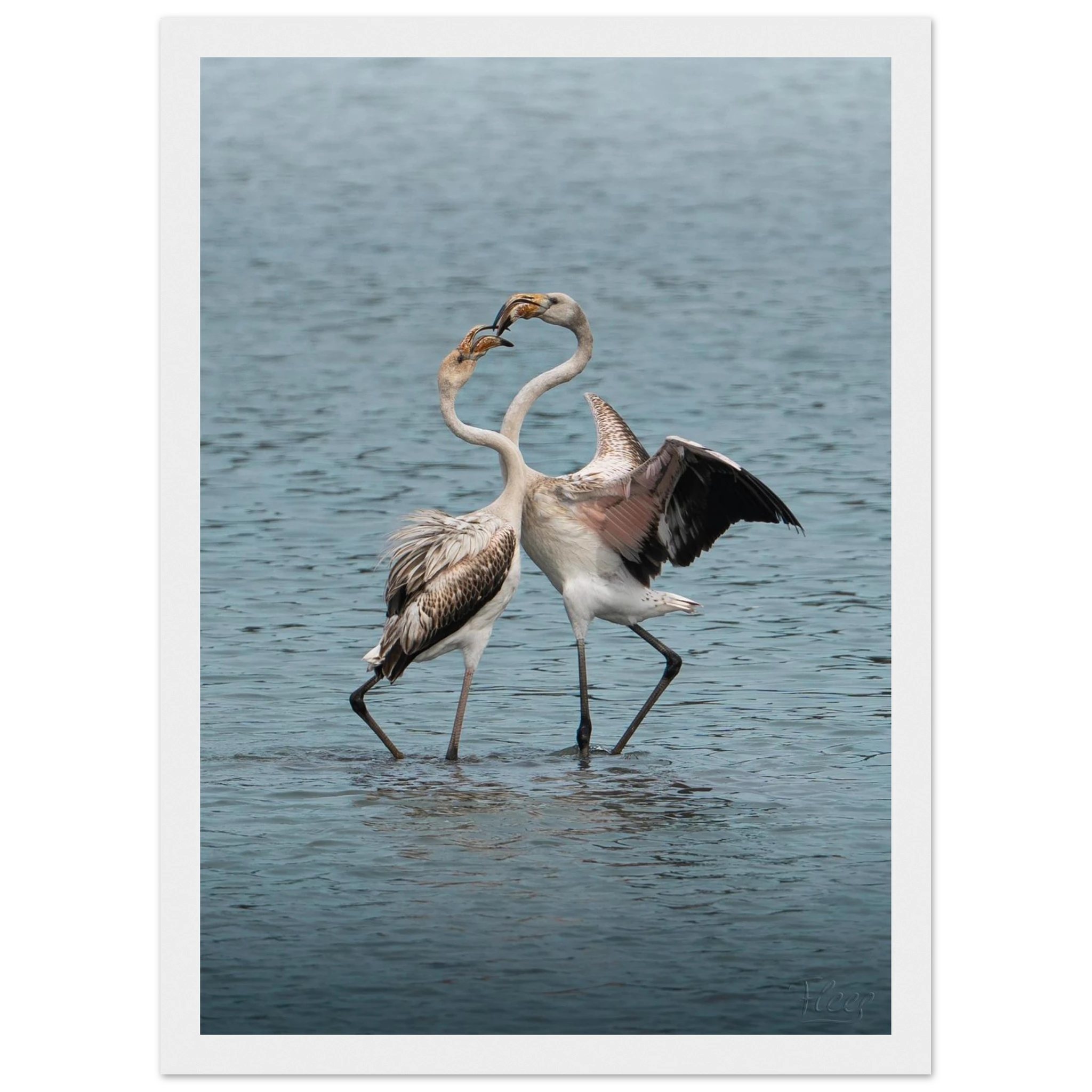 13bf51e6-9710-428b-9f80-56841eef5e71